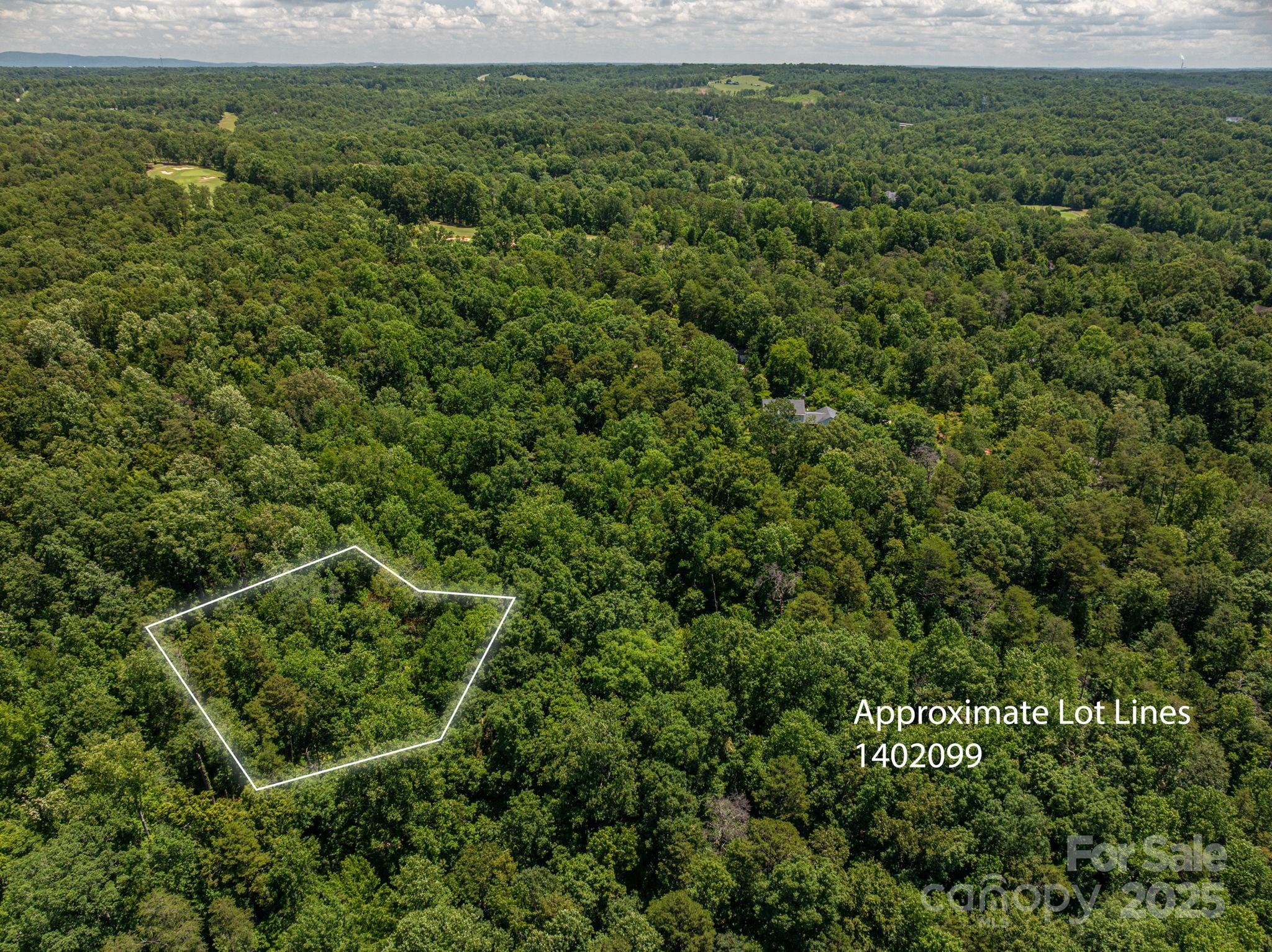 Lot at Lot 169 Coxe Road, Rutherfordton, photo 3 of 19