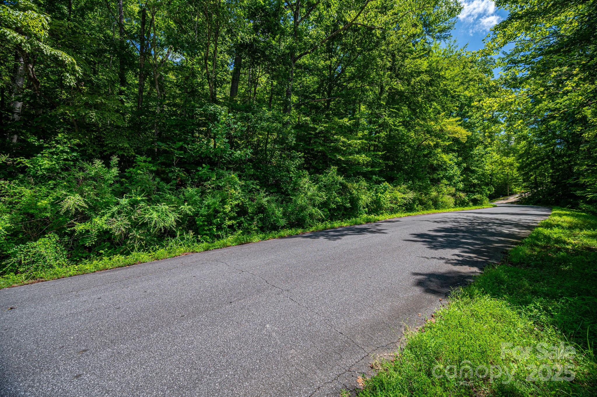 Lot at Lot 160 Coxe Road, Rutherfordton, photo 2 of 19
