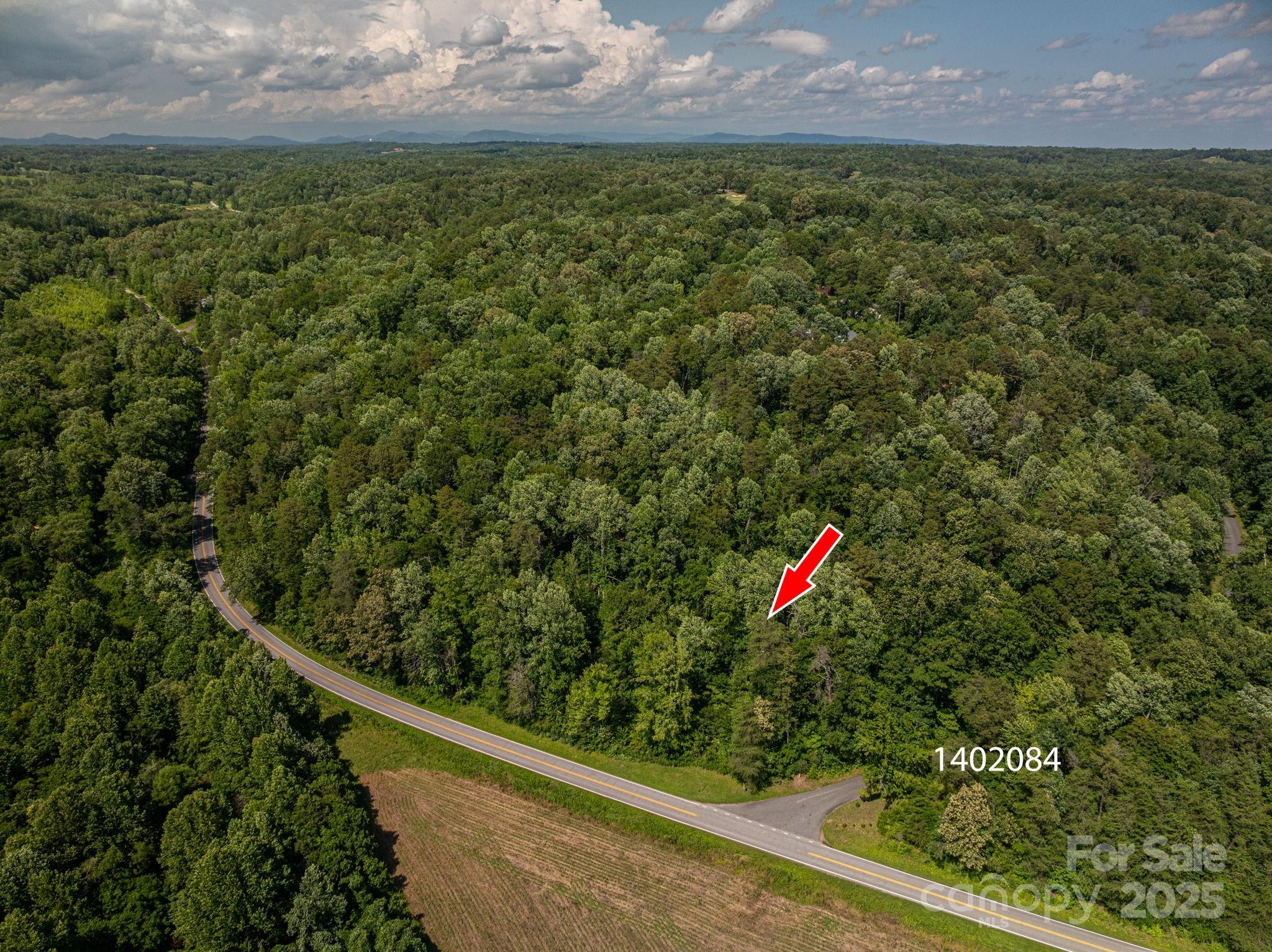 Lot at Lot 160 Coxe Road, Rutherfordton, photo 3 of 19