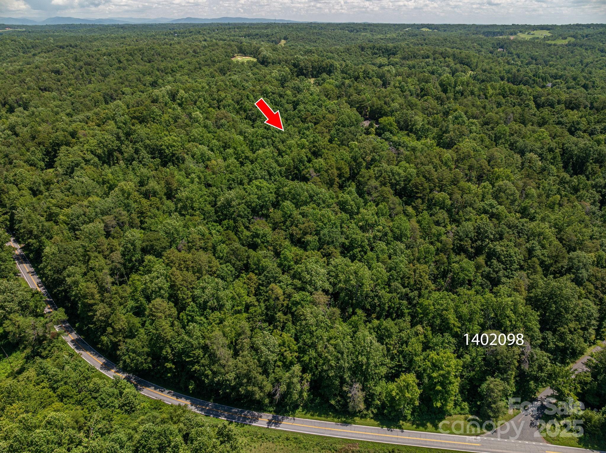 Lot at Lot 170 Coxe Road, Rutherfordton, photo 4 of 16