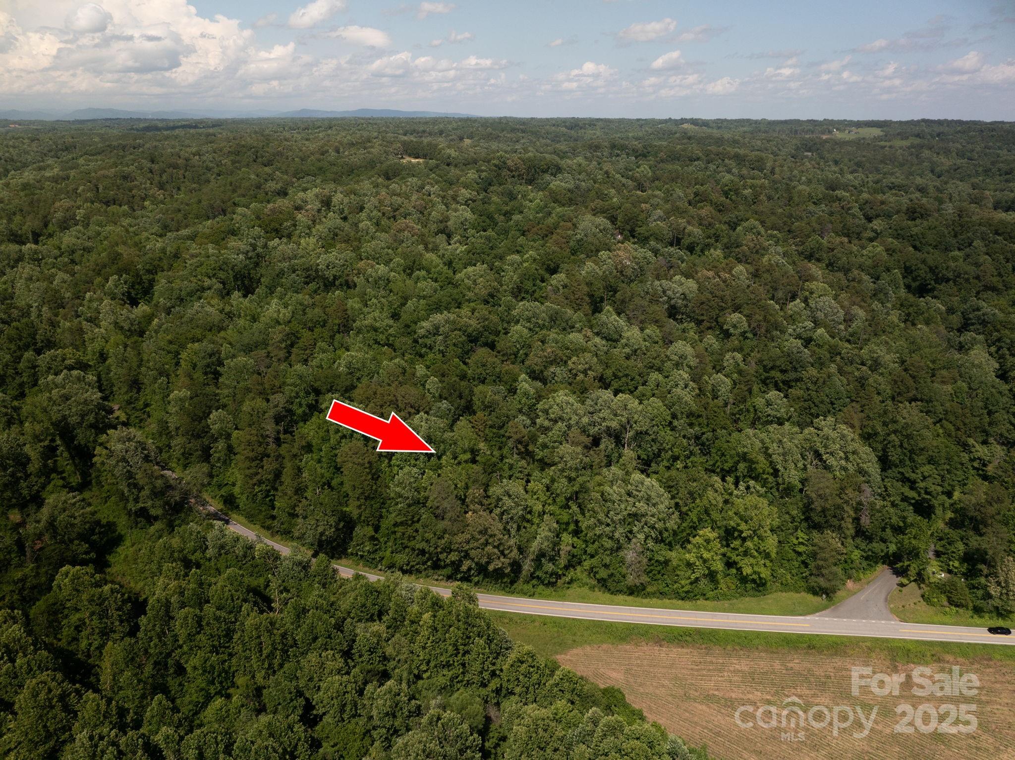 Lot at Lot 161 Coxe Road, Rutherfordton, photo 3 of 19