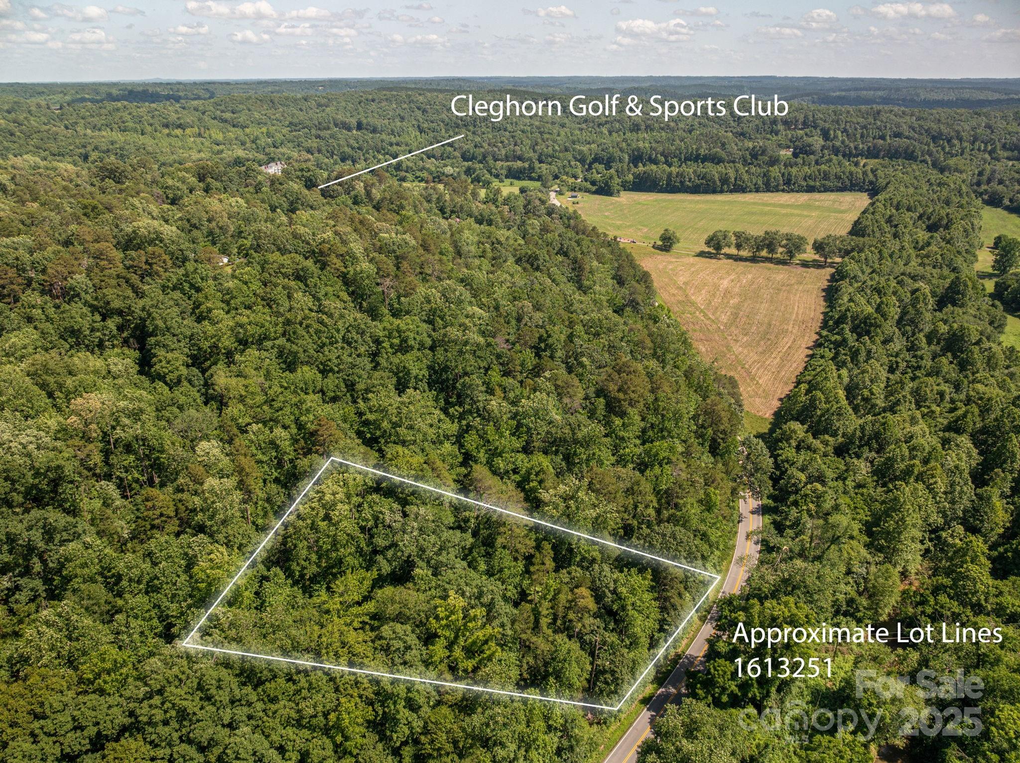 Lot at Lot 163 Coxe Road, Rutherfordton, photo 3 of 14