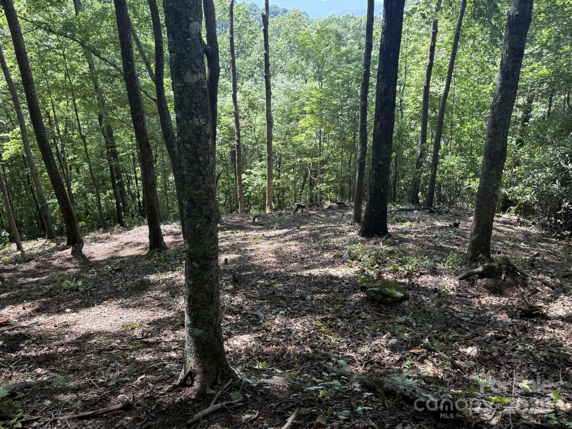 Lot at Lt 176 E Reach Road, Sylva, photo 2 of 20