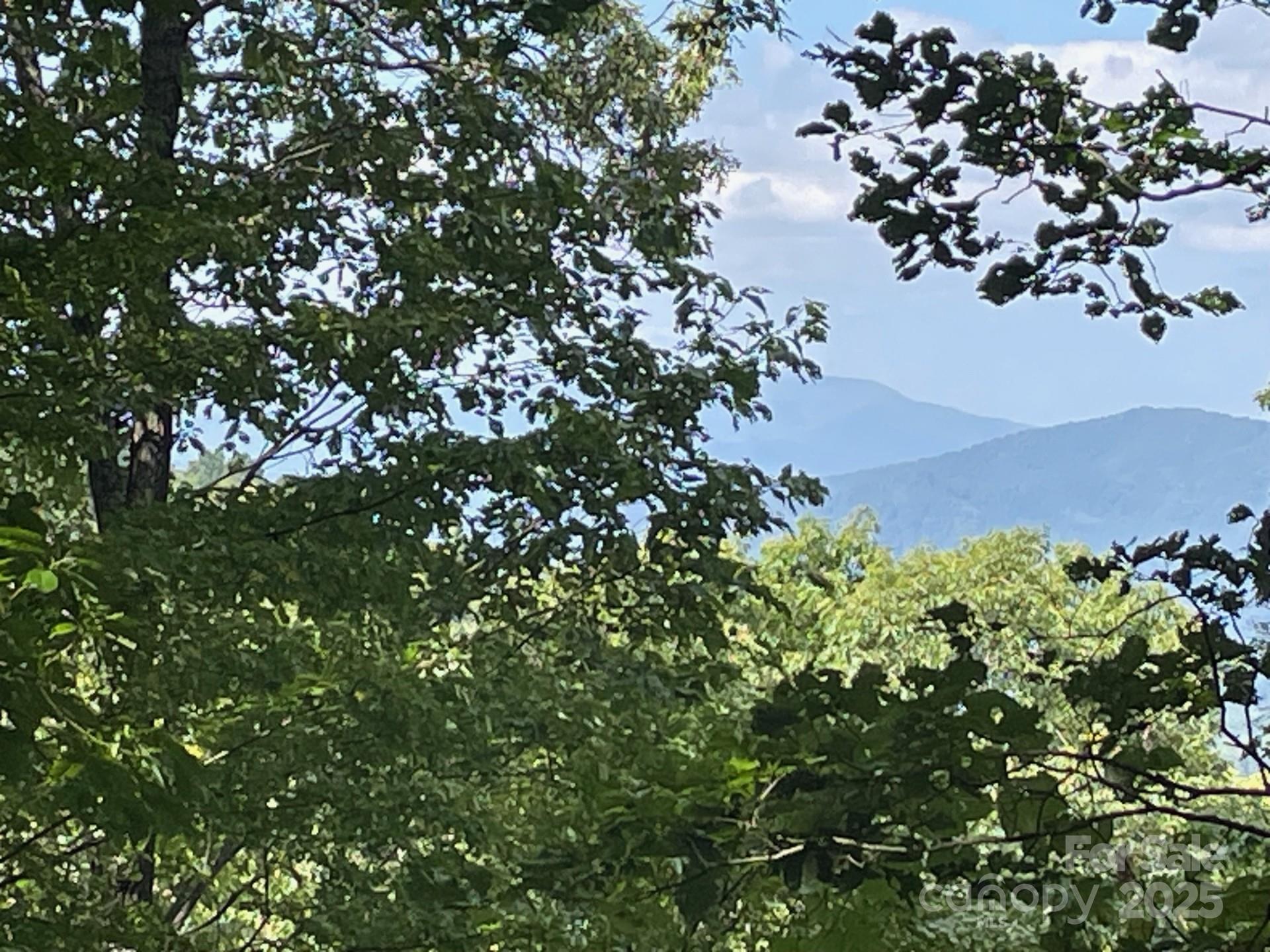 Lot at Lt 176 E Reach Road, Sylva, photo 3 of 20