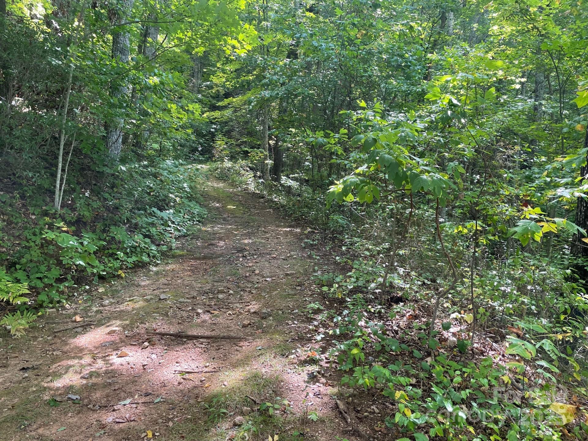 Lot at Lt 176 E Reach Road, Sylva, photo 4 of 20
