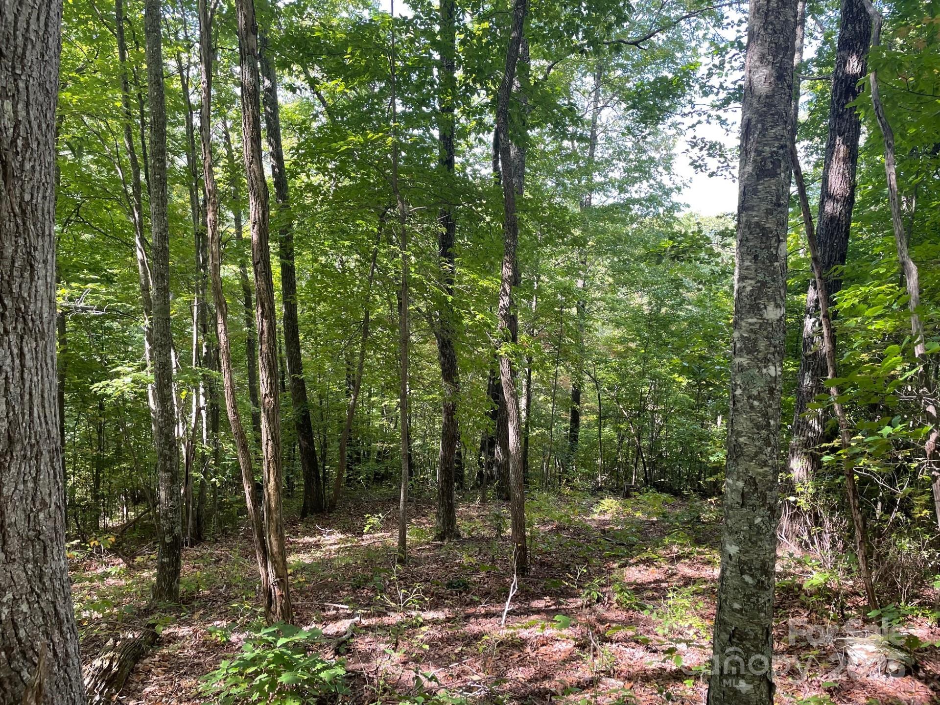 Lot at Lt 176 E Reach Road, Sylva, photo 5 of 20