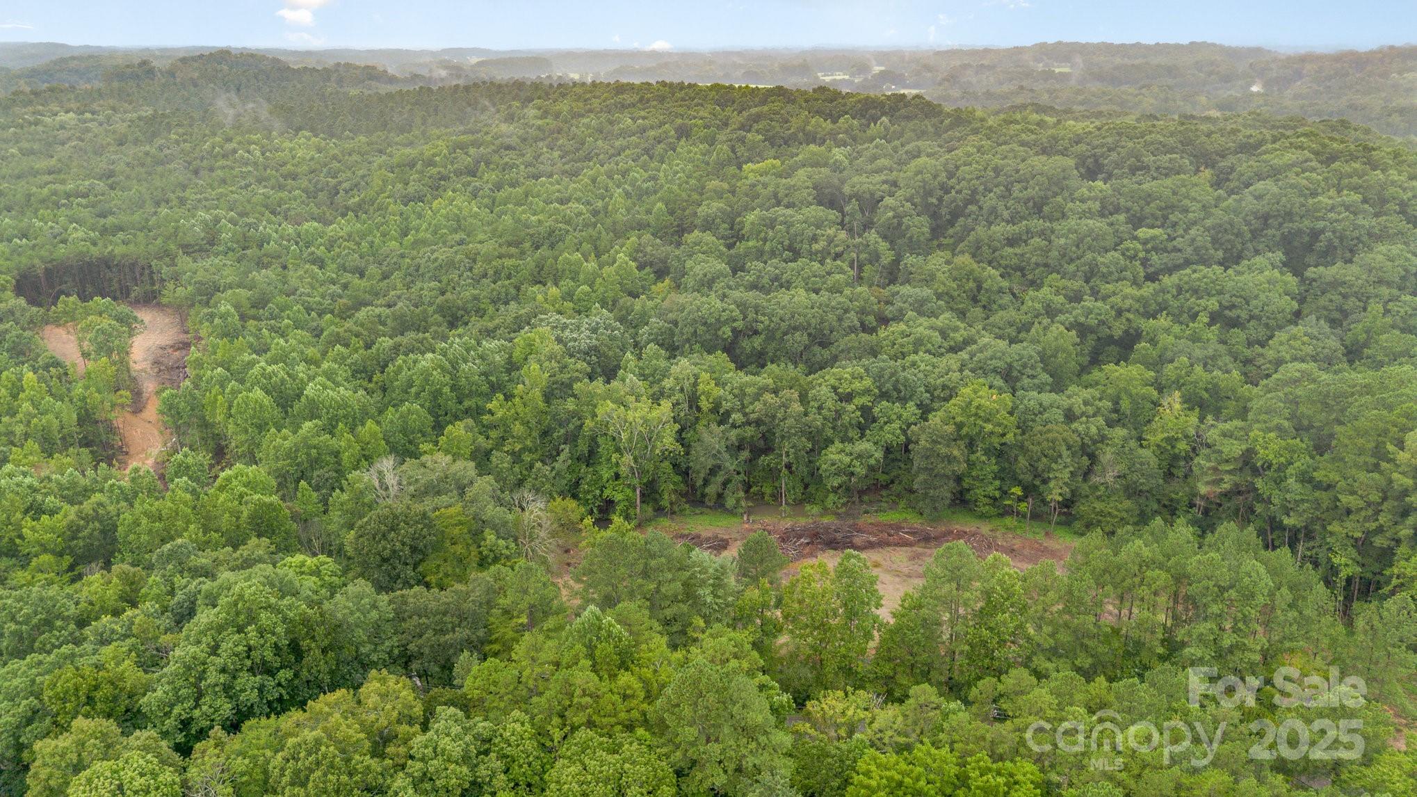 Acreage at 0000 Stony Gap Road, Albemarle, photo 2 of 4
