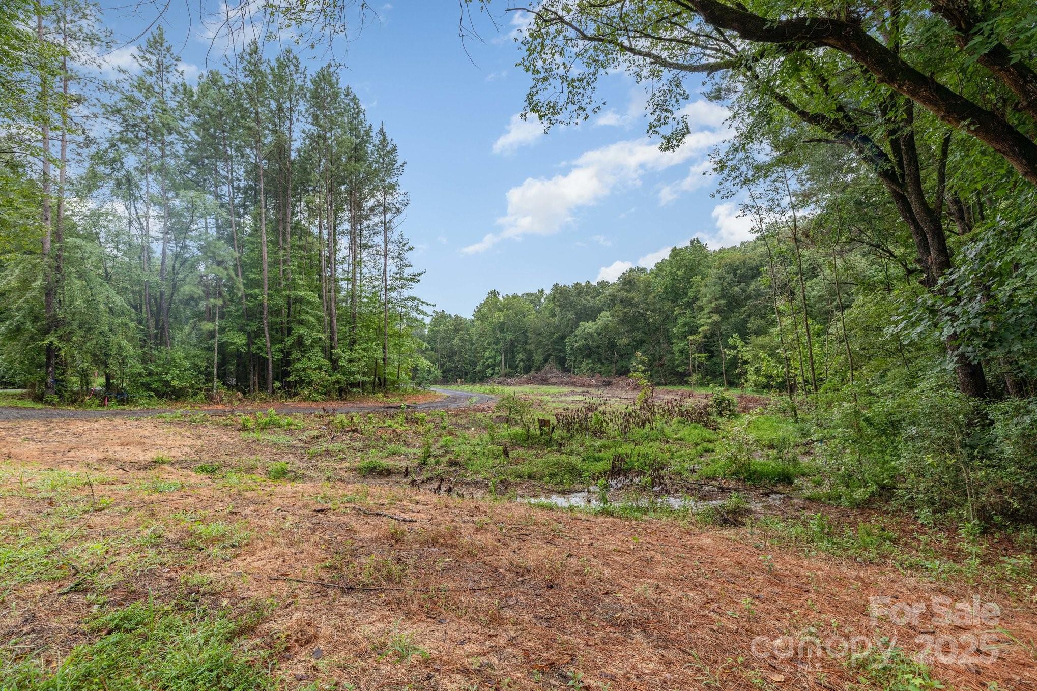 Acreage at 0000 Stony Gap Road, Albemarle, photo 3 of 4