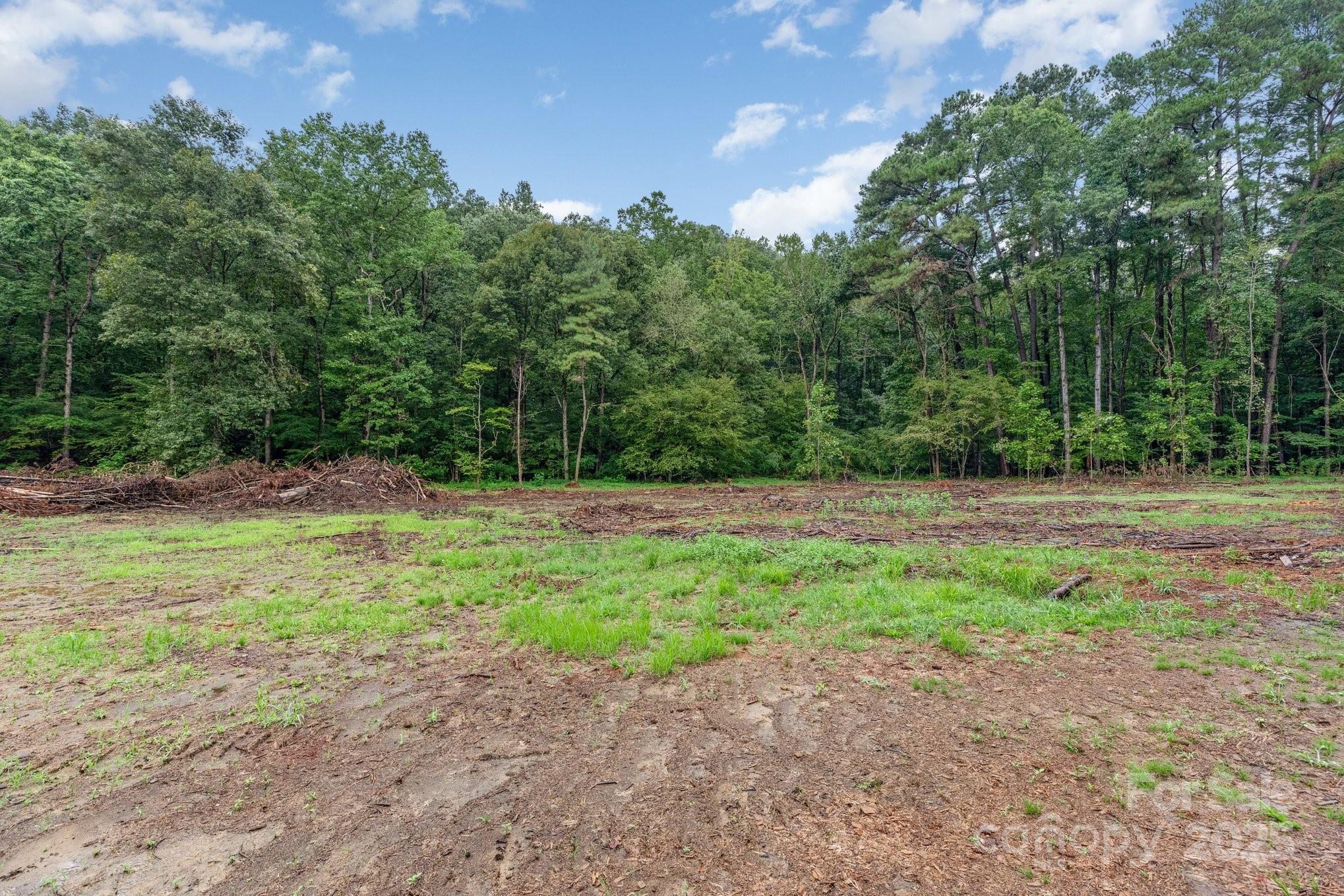 Acreage at 0000 Stony Gap Road, Albemarle, photo 4 of 4