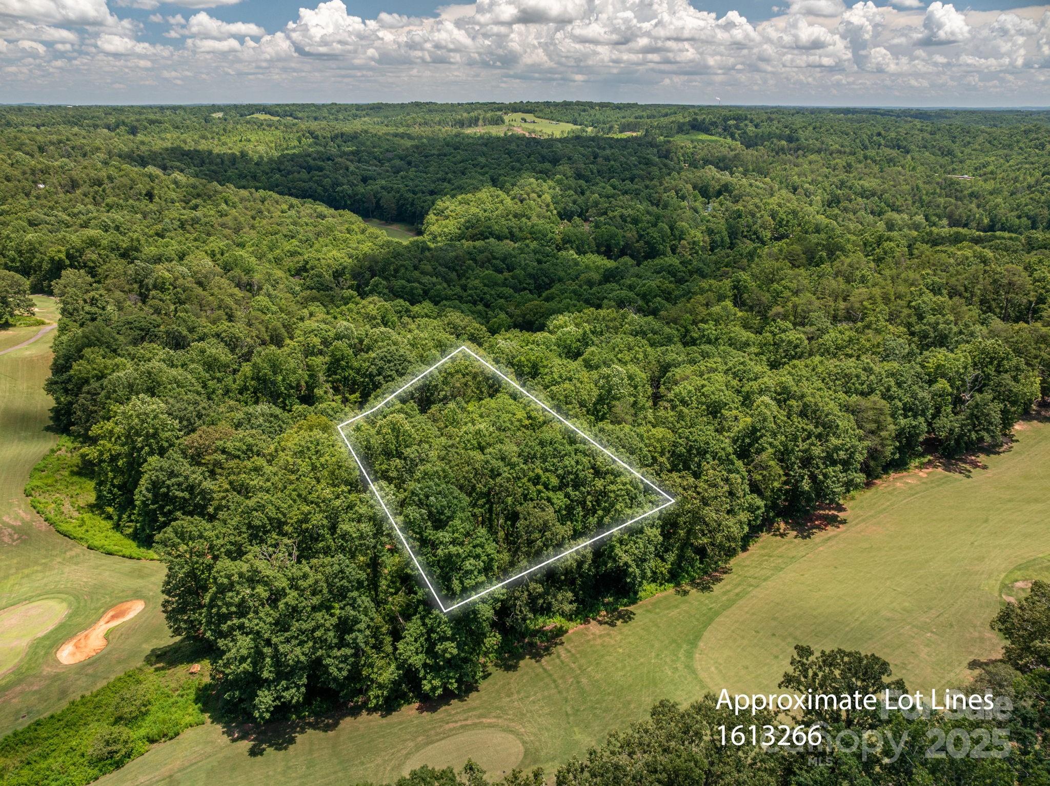 Lot at Lot 218 Plantation Drive, Rutherfordton, photo 2 of 16