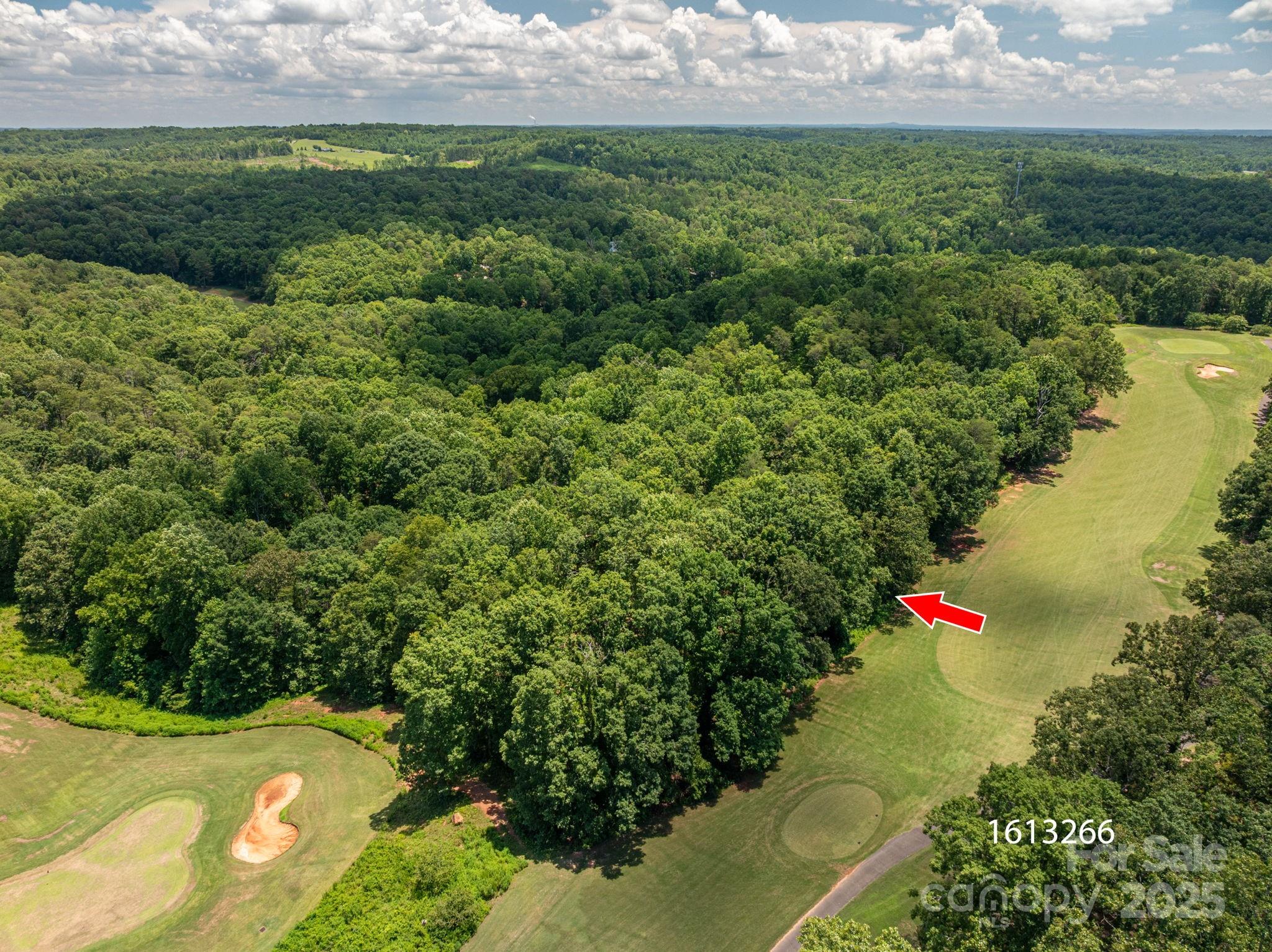 Lot at Lot 218 Plantation Drive, Rutherfordton, photo 4 of 16
