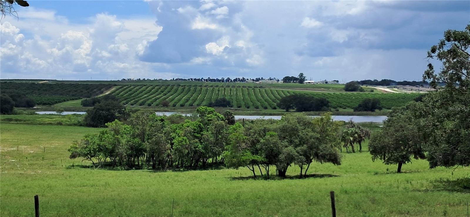 Views from the property looking South - 2741 EDWARDS RD, HAINES CITY