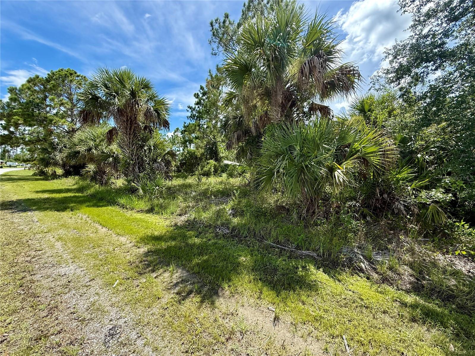 Land at KABBABY ST, NORTH PORT, photo 3 of 8