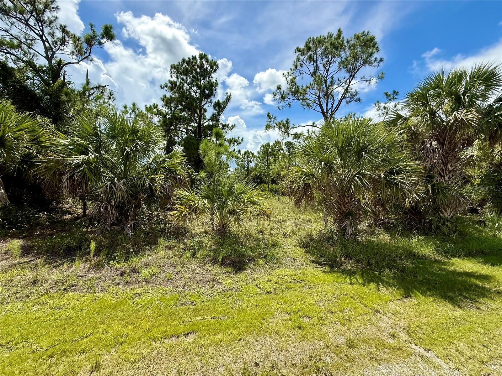 Land at KABBABY ST, NORTH PORT, photo 6 of 8