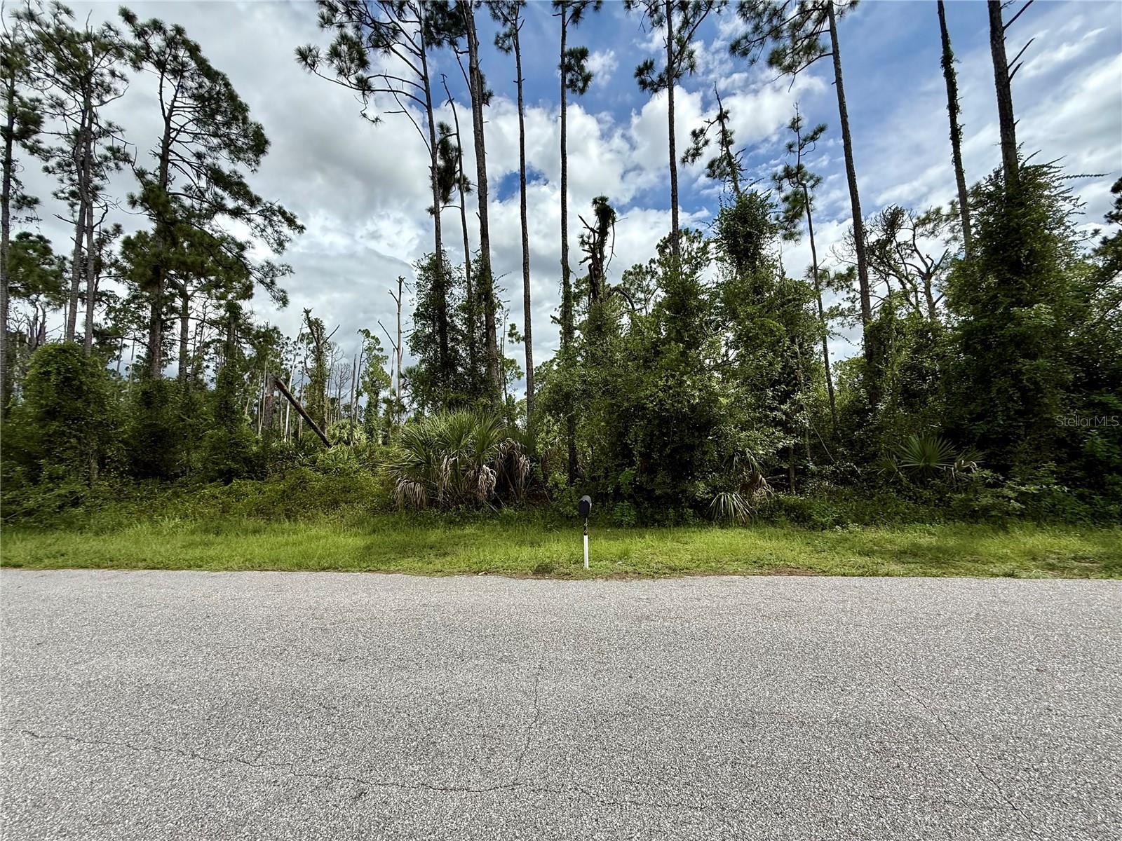 Land at DRAGONFLY AVE, NORTH PORT, photo 2 of 7