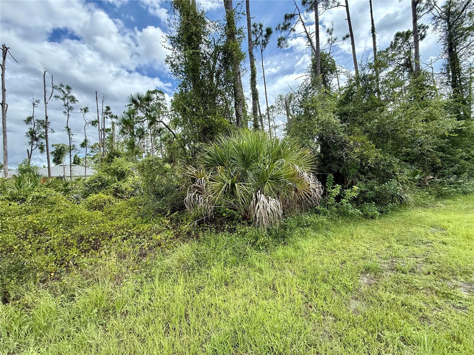 Land at DRAGONFLY AVE, NORTH PORT, photo 3 of 7