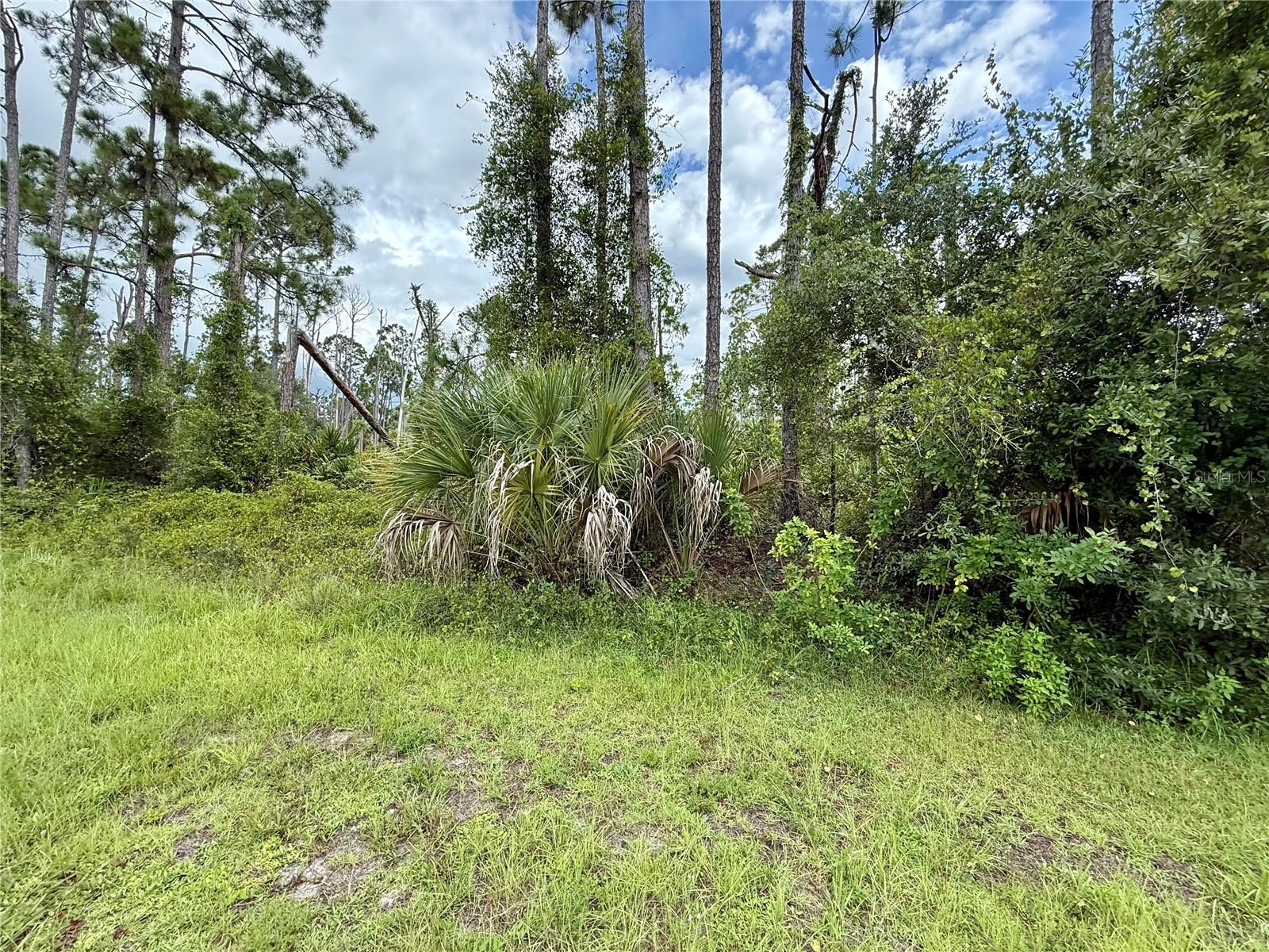 Land at DRAGONFLY AVE, NORTH PORT, photo 5 of 7