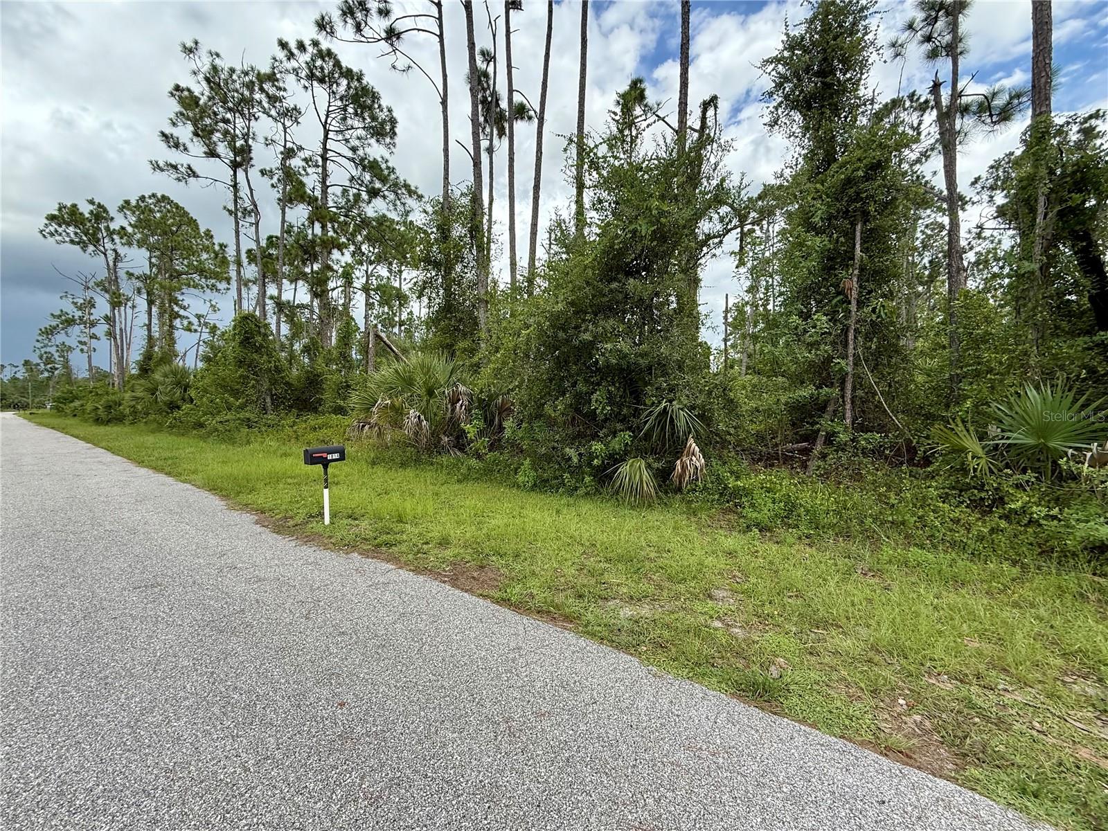 Land at DRAGONFLY AVE, NORTH PORT, photo 7 of 7