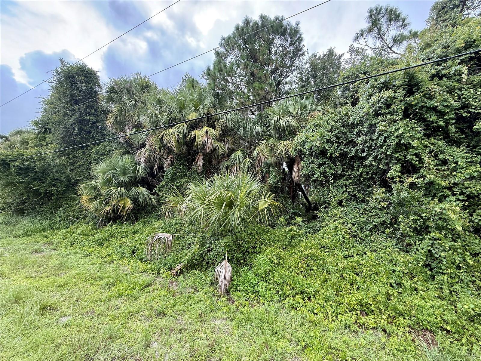 Land at BALMOR TER, NORTH PORT, photo 2 of 7
