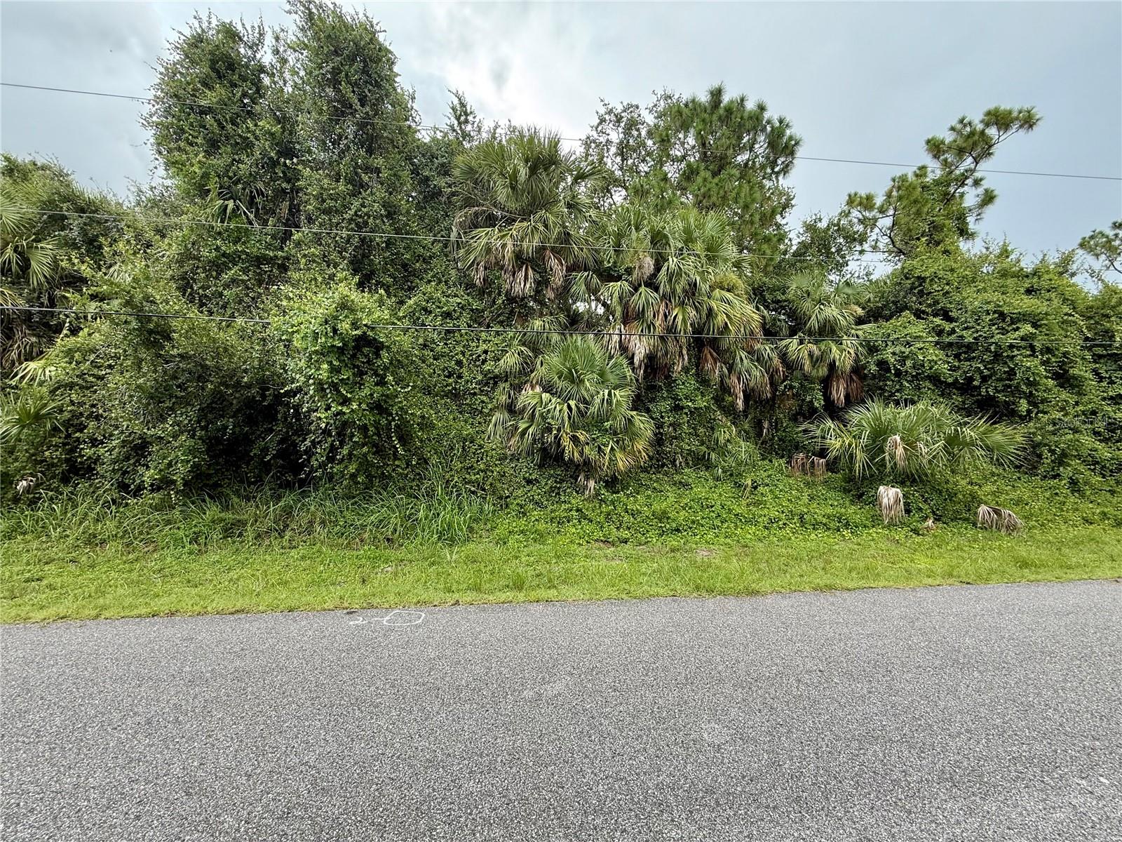Land at BALMOR TER, NORTH PORT, photo 7 of 7
