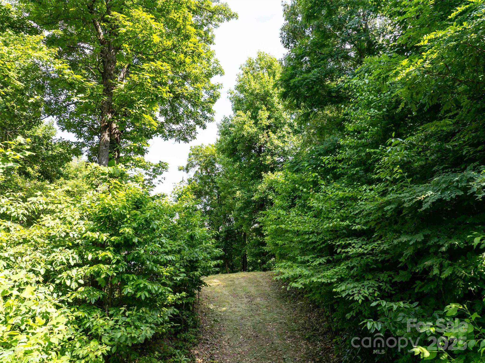 Lot at 2957 Creston Drive, Black Mountain, photo 23 of 25