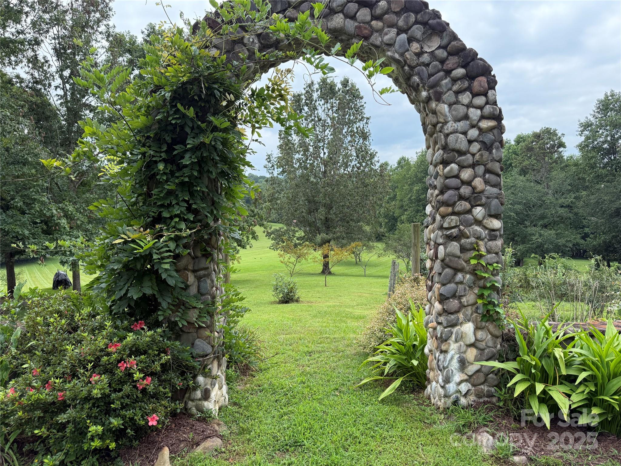 Vineyard with Meadow behind - Lot 25 Zinzendorf Lane, Moravian Falls
