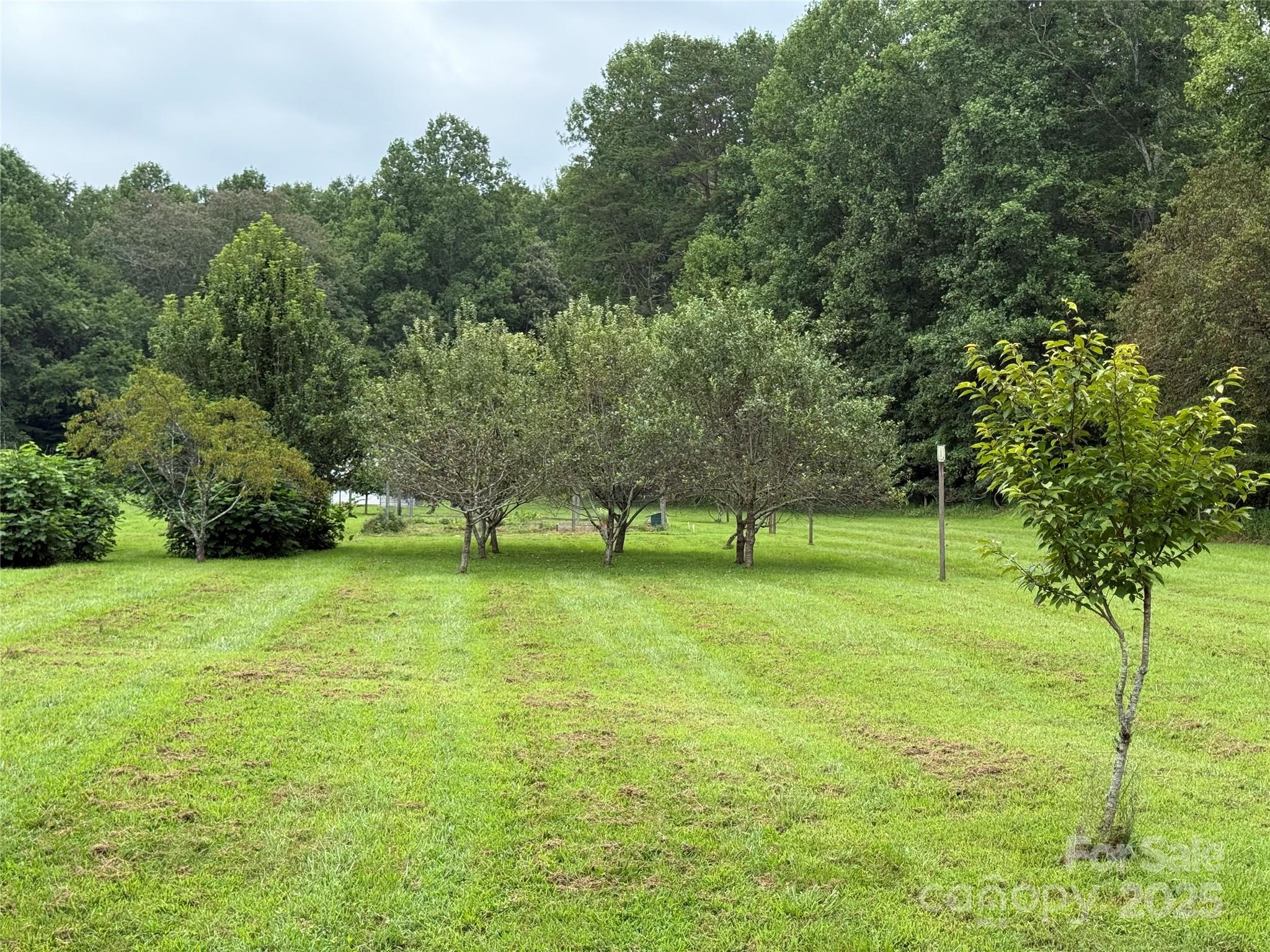 Community Orchard by Garden - Lot 25 Zinzendorf Lane, Moravian Falls