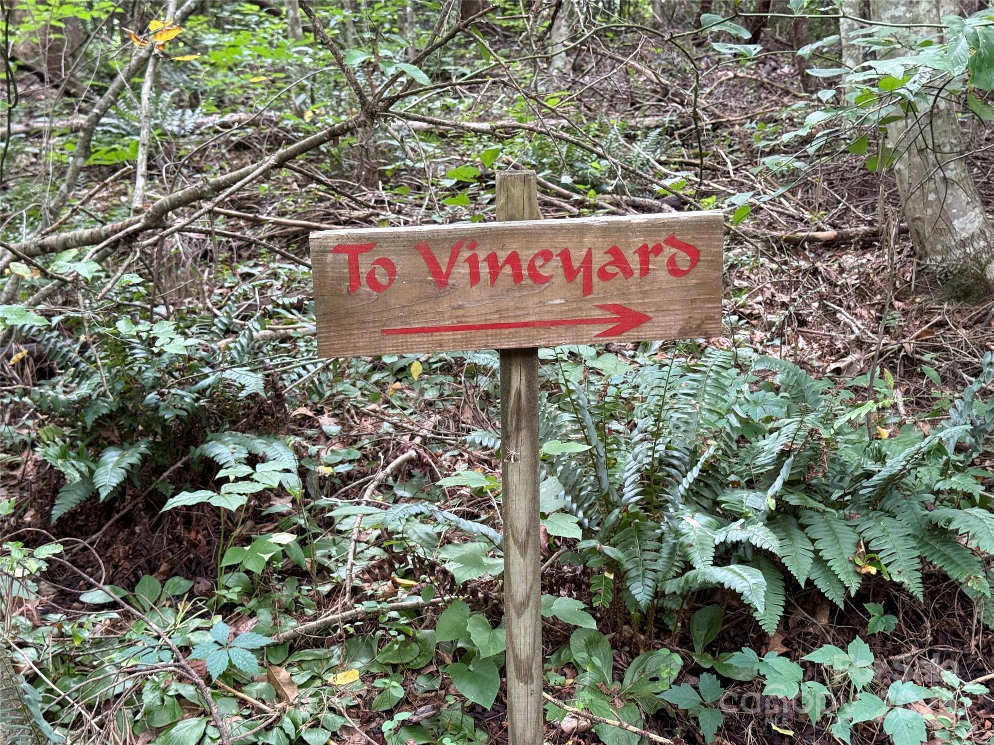 Community Trail Directional Sign - Lot 25 Zinzendorf Lane, Moravian Falls