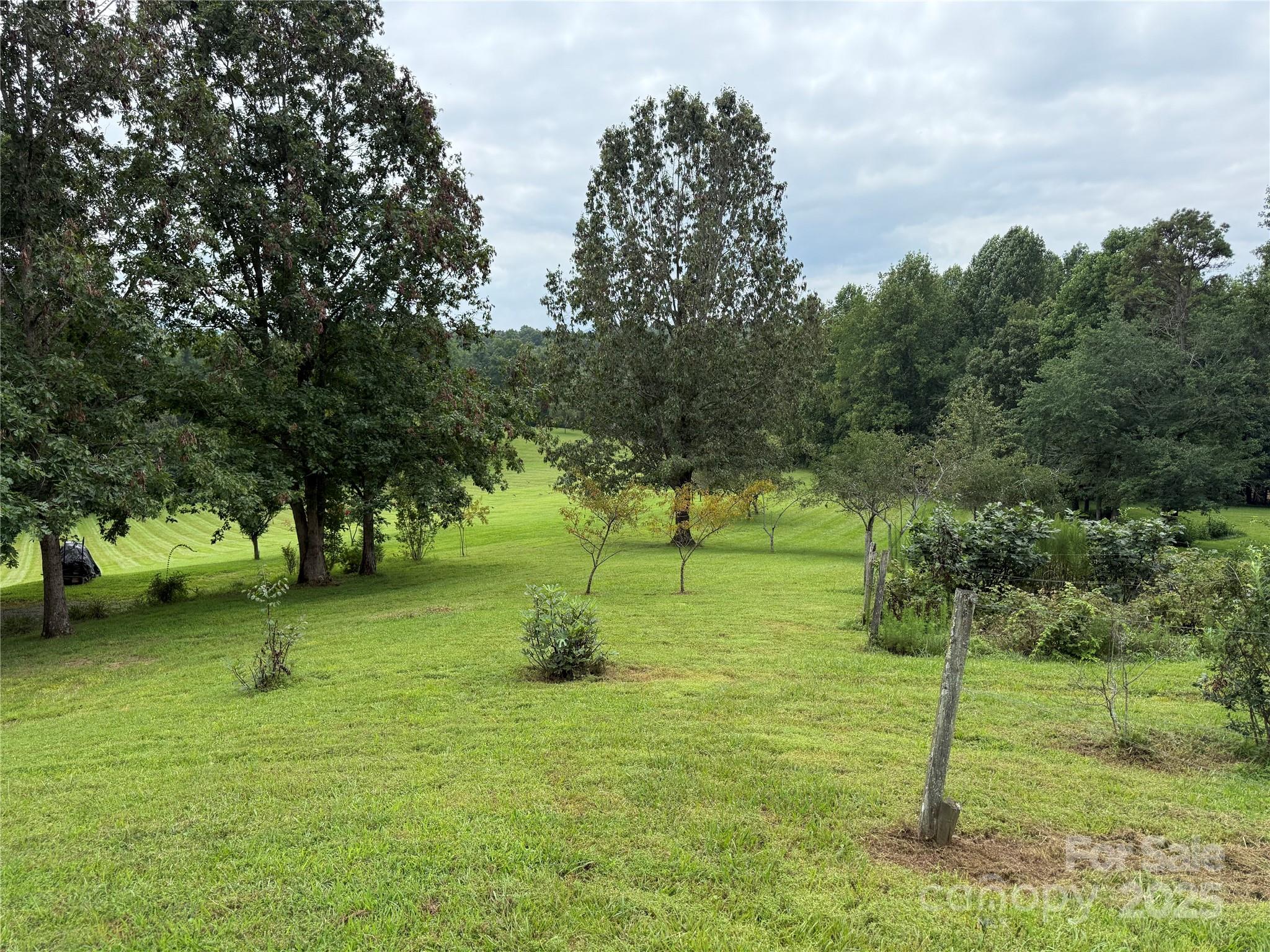 Meadow from Vineyard - Lot 26 Zinzendorf Lane, Moravian Falls