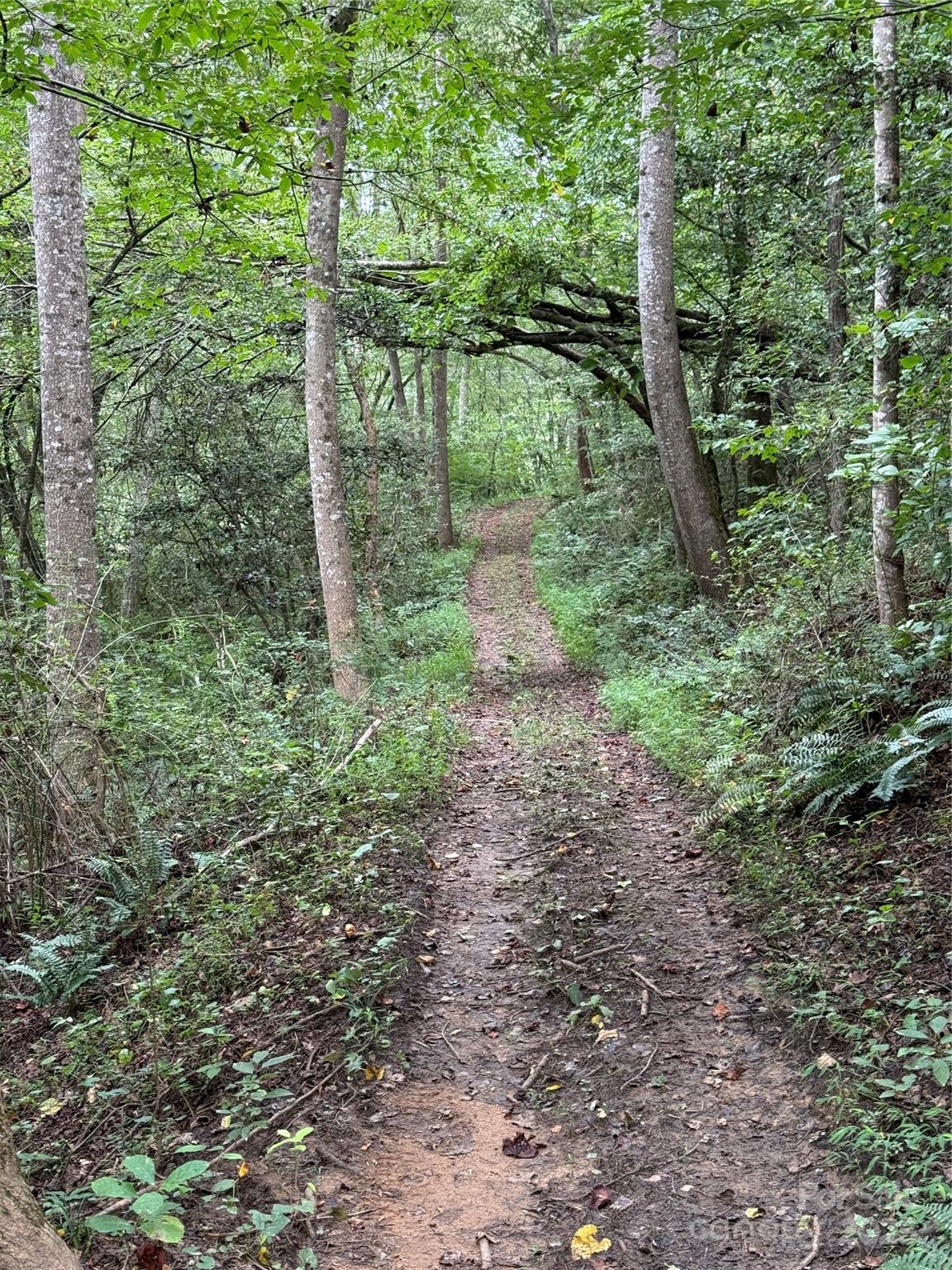 Community Trail - Lot 26 Zinzendorf Lane, Moravian Falls