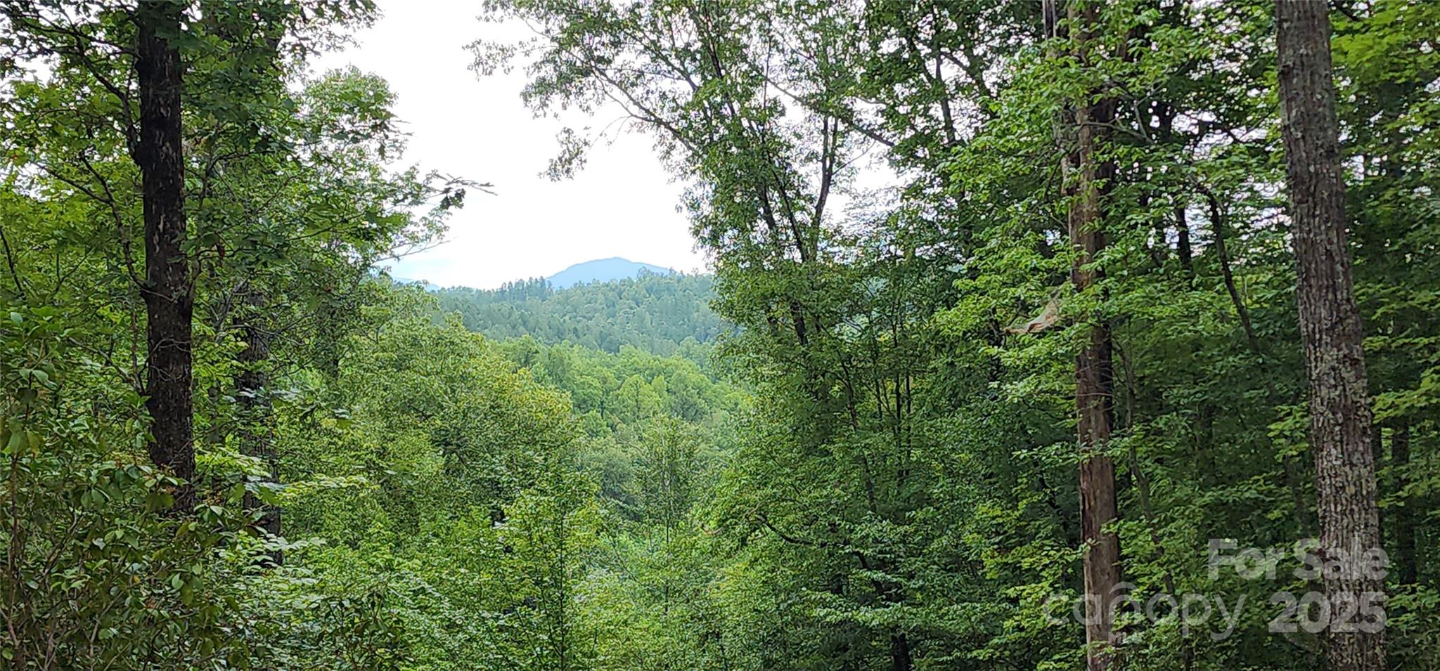 Lot at LOT 3 S Cross Creek Trail, Mill Spring, photo 3 of 25