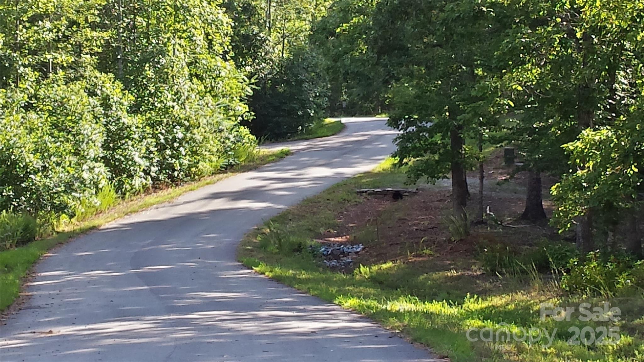 Lot at LOT 3 S Cross Creek Trail, Mill Spring, photo 6 of 25