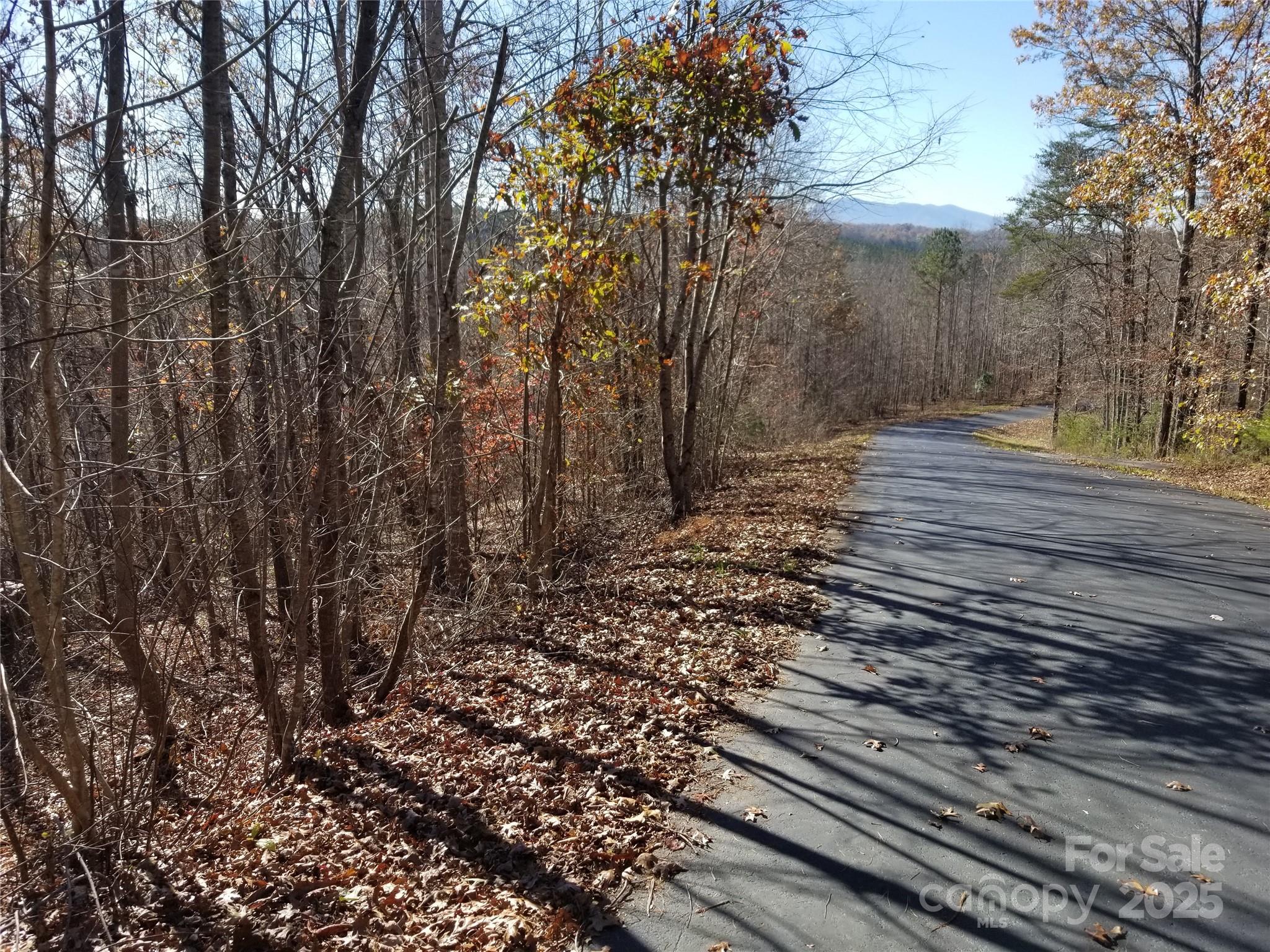 Lot at LOT 3 S Cross Creek Trail, Mill Spring, photo 7 of 25