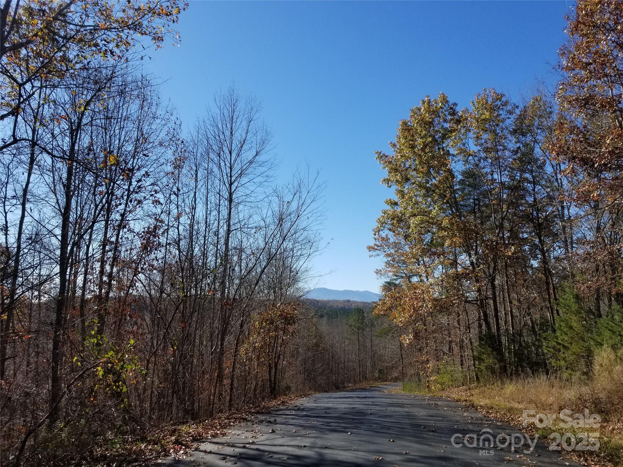 Lot at LOT 3 S Cross Creek Trail, Mill Spring, photo 8 of 25