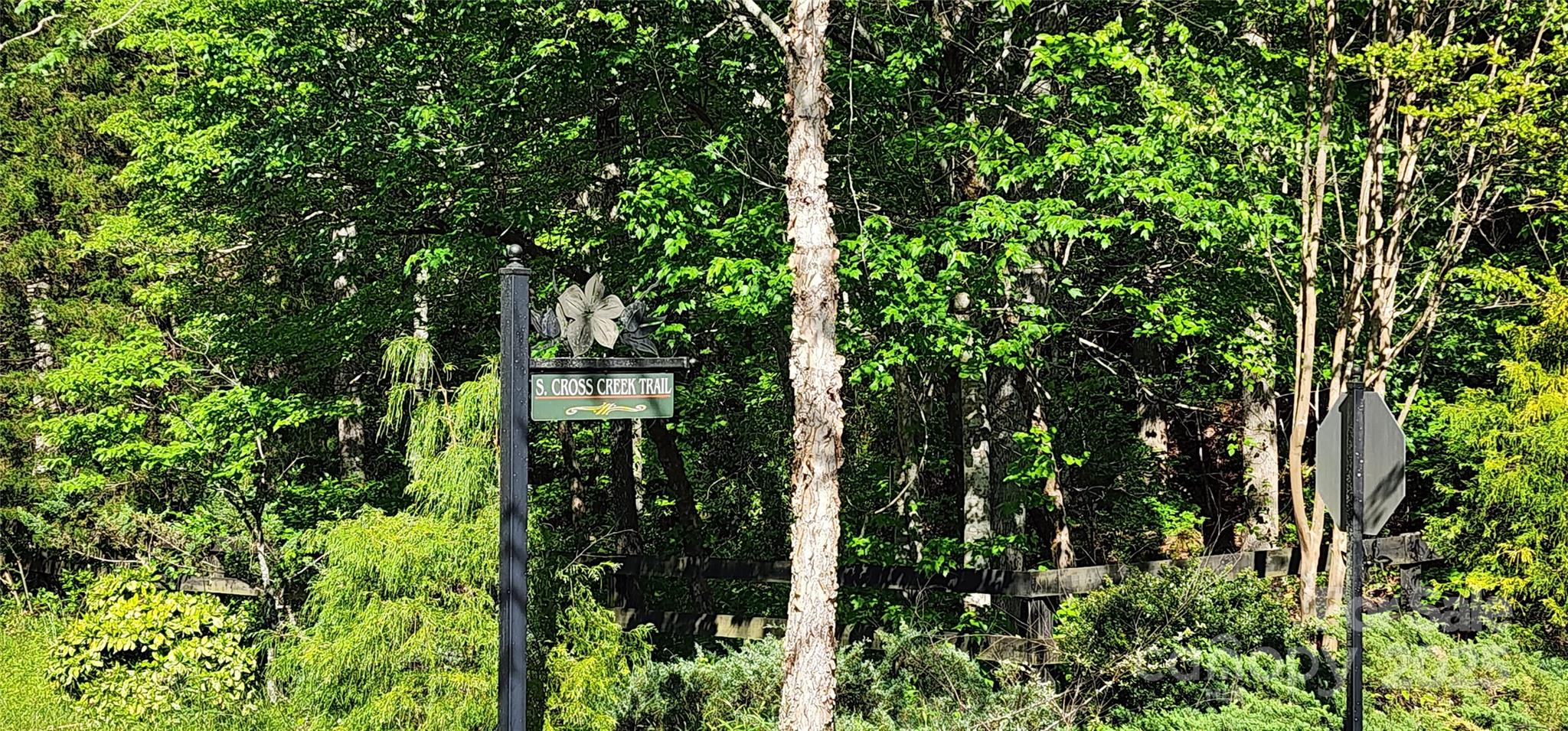 Lot at LOT 3 S Cross Creek Trail, Mill Spring, photo 9 of 25