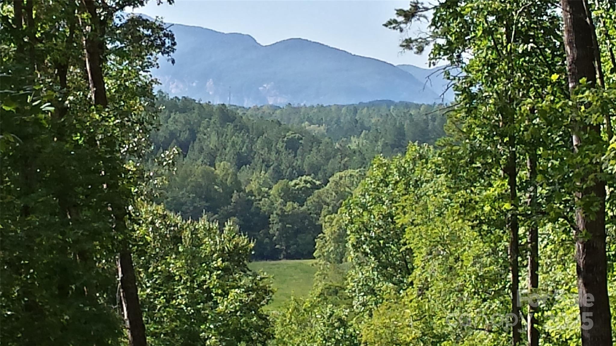 Lot at LOT 3 S Cross Creek Trail, Mill Spring, photo 11 of 25