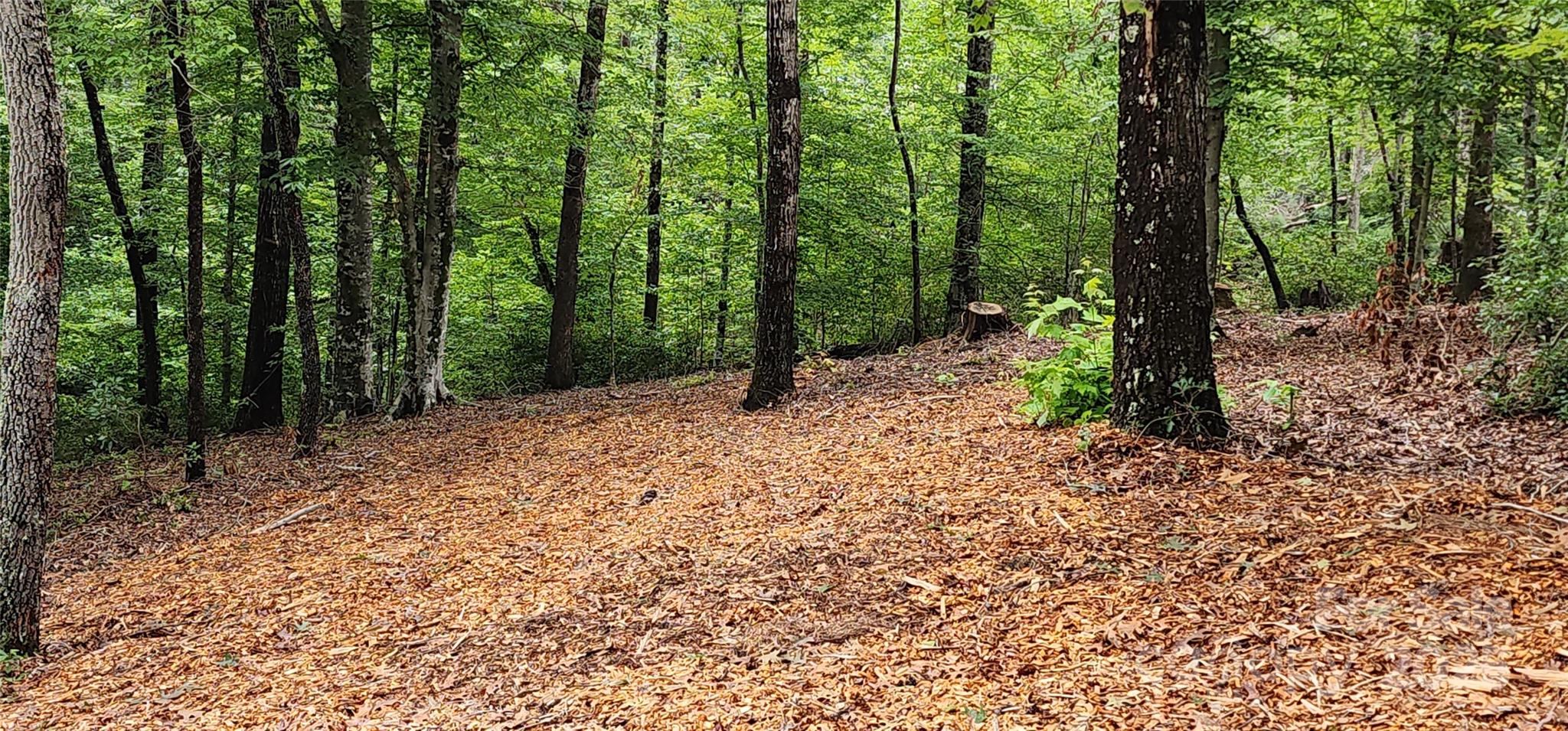 Lot at LOT 3 S Cross Creek Trail, Mill Spring, photo 13 of 25