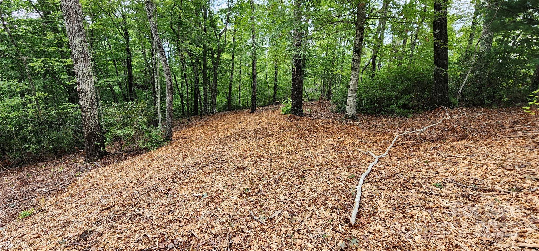 Lot at LOT 3 S Cross Creek Trail, Mill Spring, photo 14 of 25