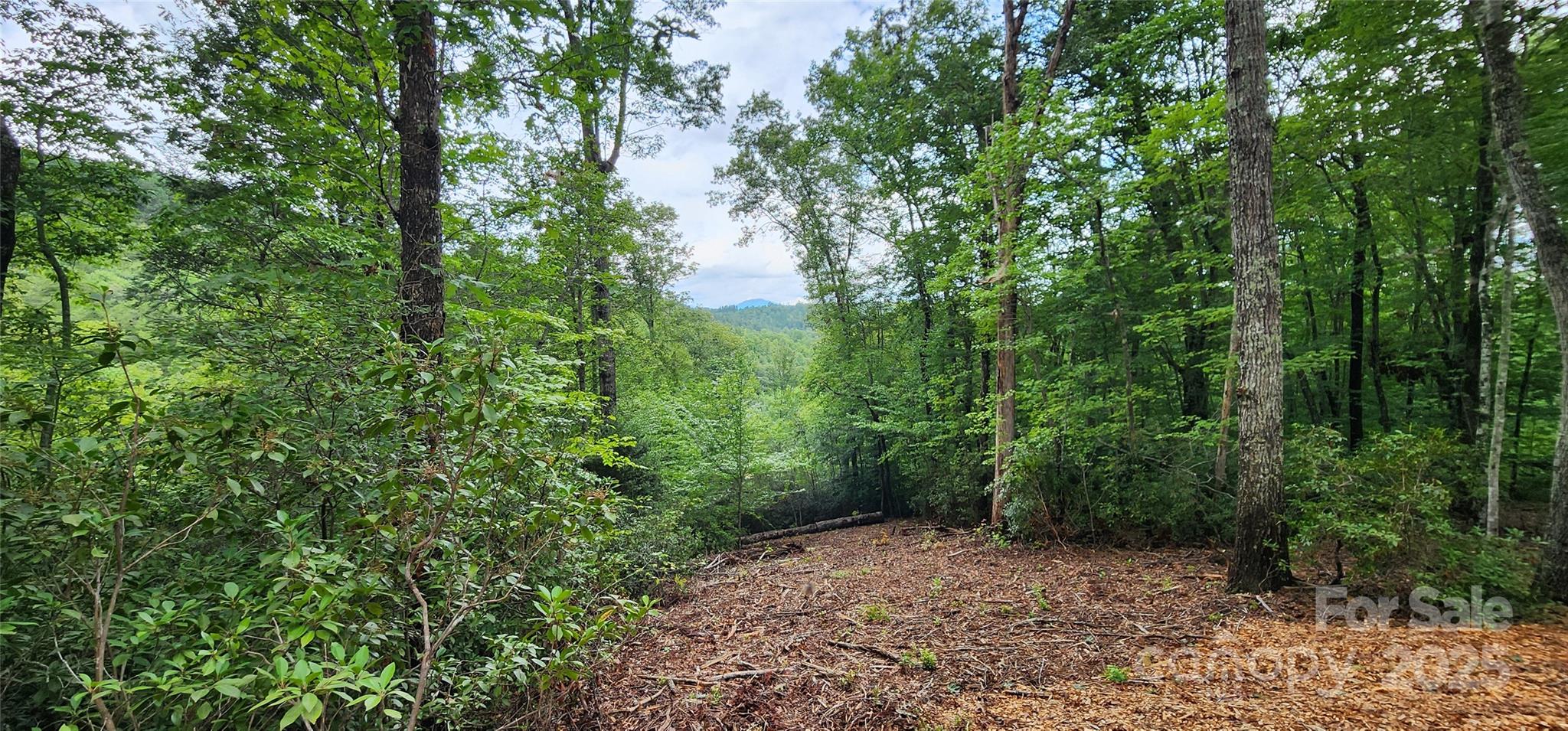 Lot at LOT 3 S Cross Creek Trail, Mill Spring, photo 15 of 25