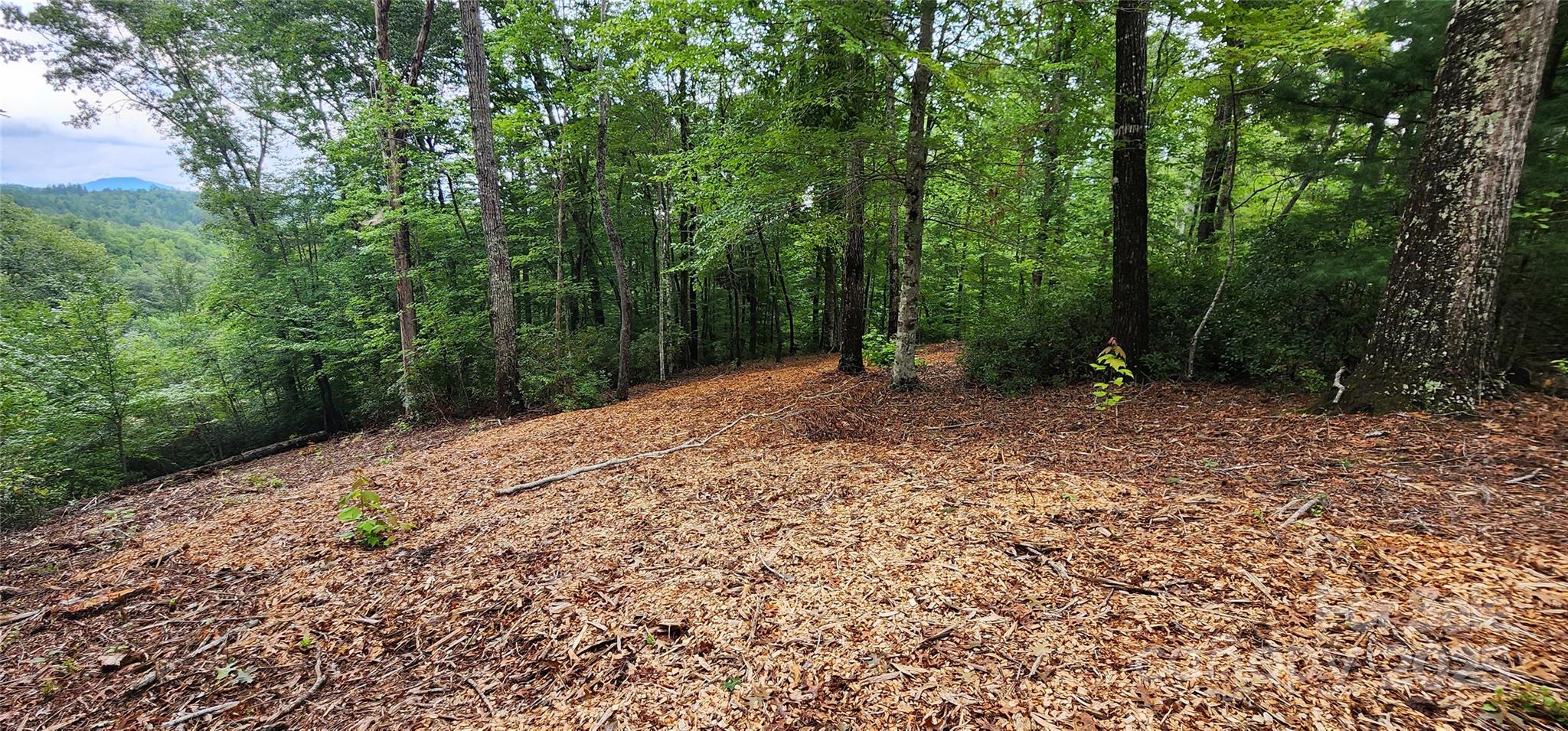 Lot at LOT 3 S Cross Creek Trail, Mill Spring, photo 16 of 25