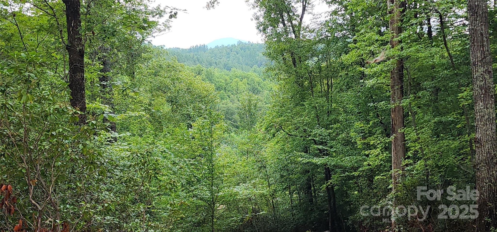 Lot at LOT 3 S Cross Creek Trail, Mill Spring, photo 17 of 25