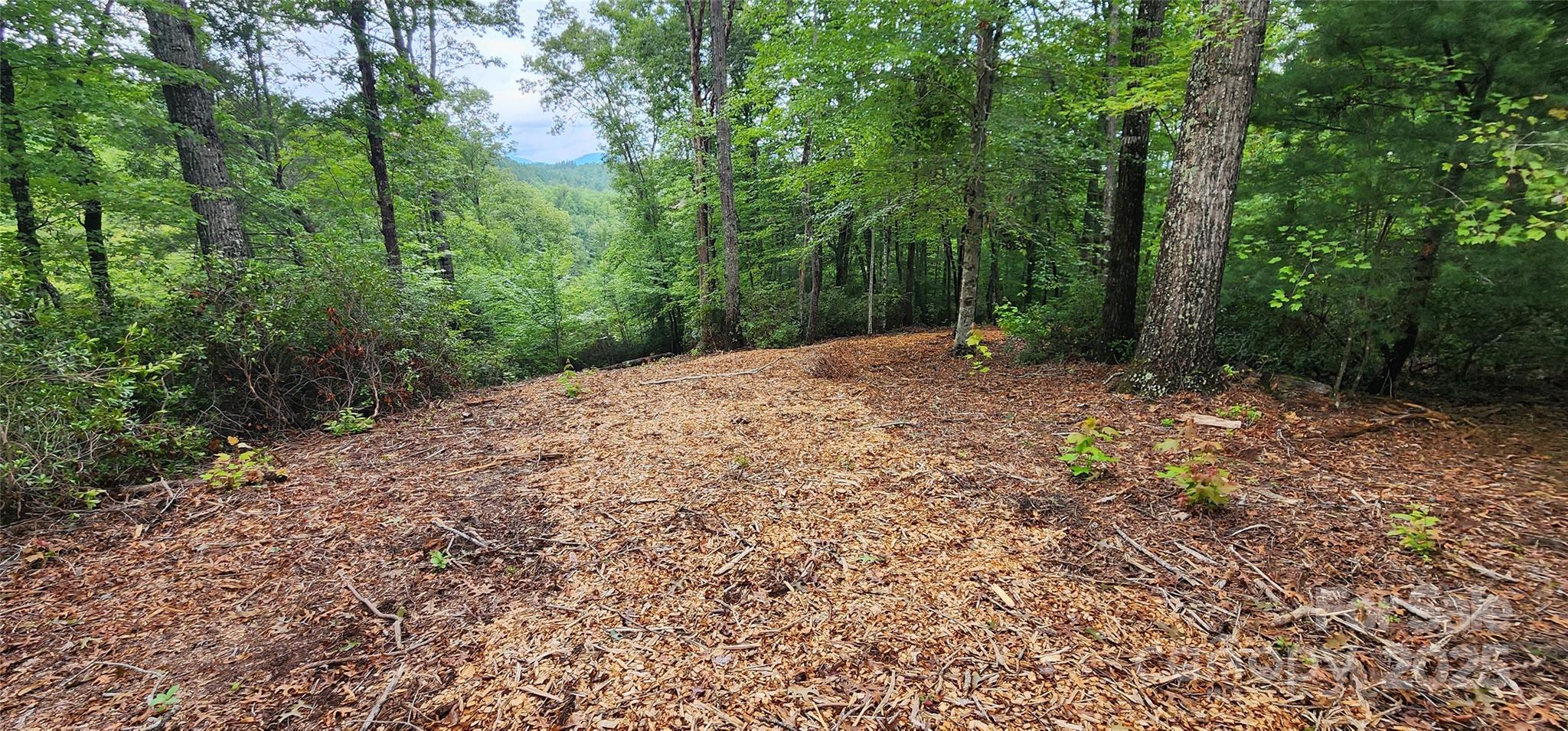 Lot at LOT 3 S Cross Creek Trail, Mill Spring, photo 18 of 25