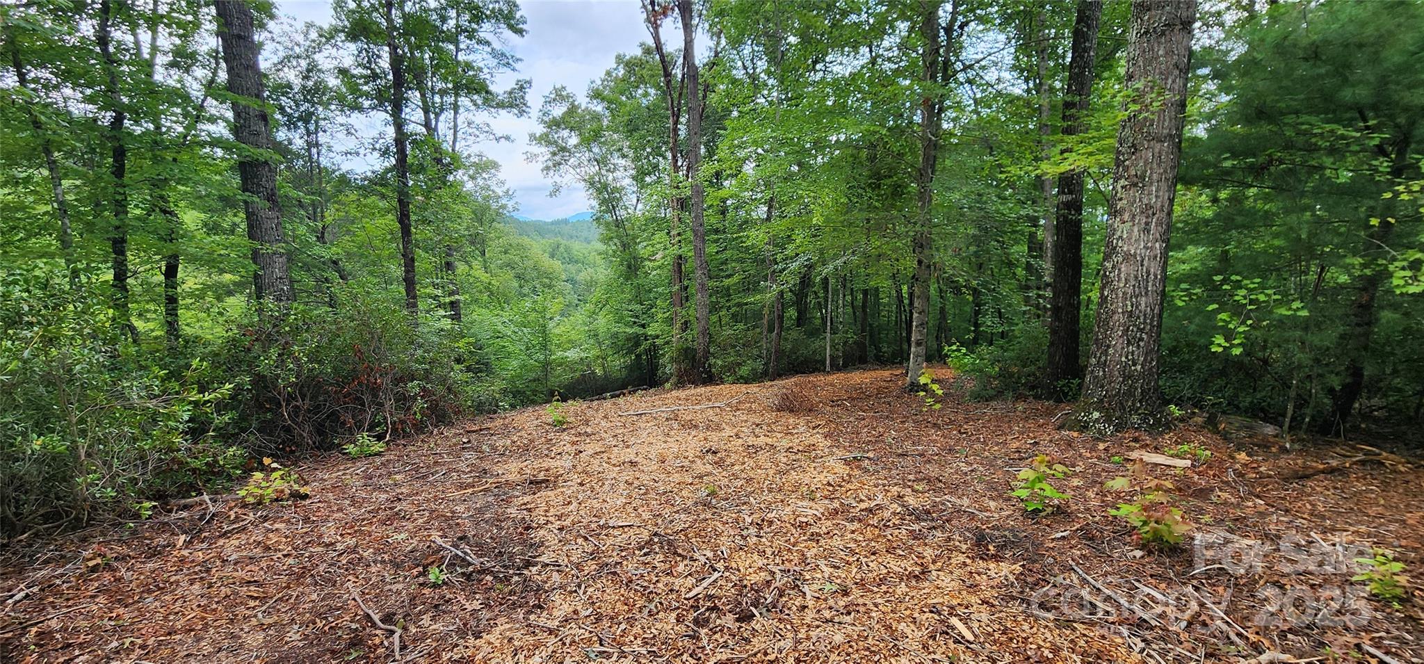 Lot at LOT 3 S Cross Creek Trail, Mill Spring, photo 19 of 25