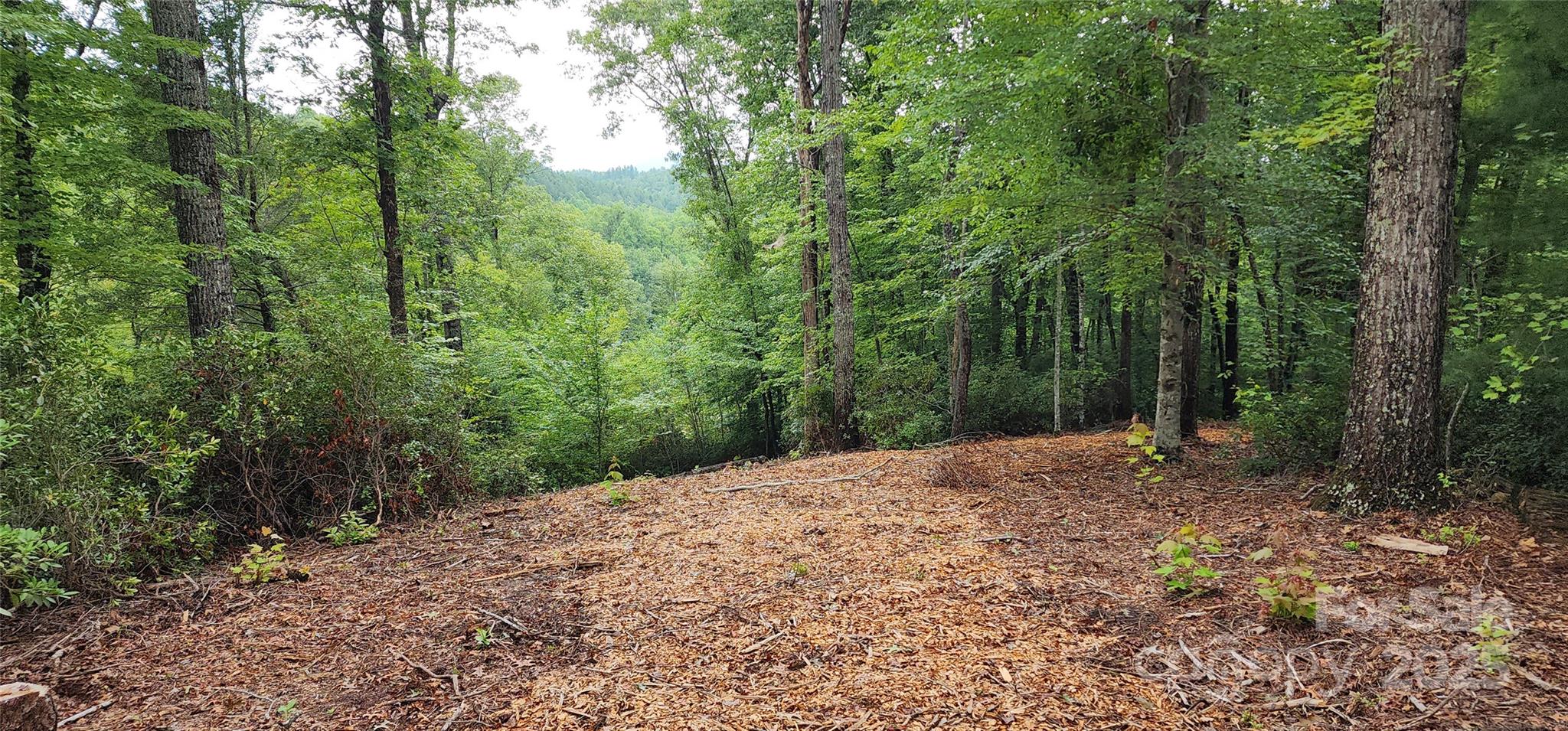 Lot at LOT 3 S Cross Creek Trail, Mill Spring, photo 20 of 25