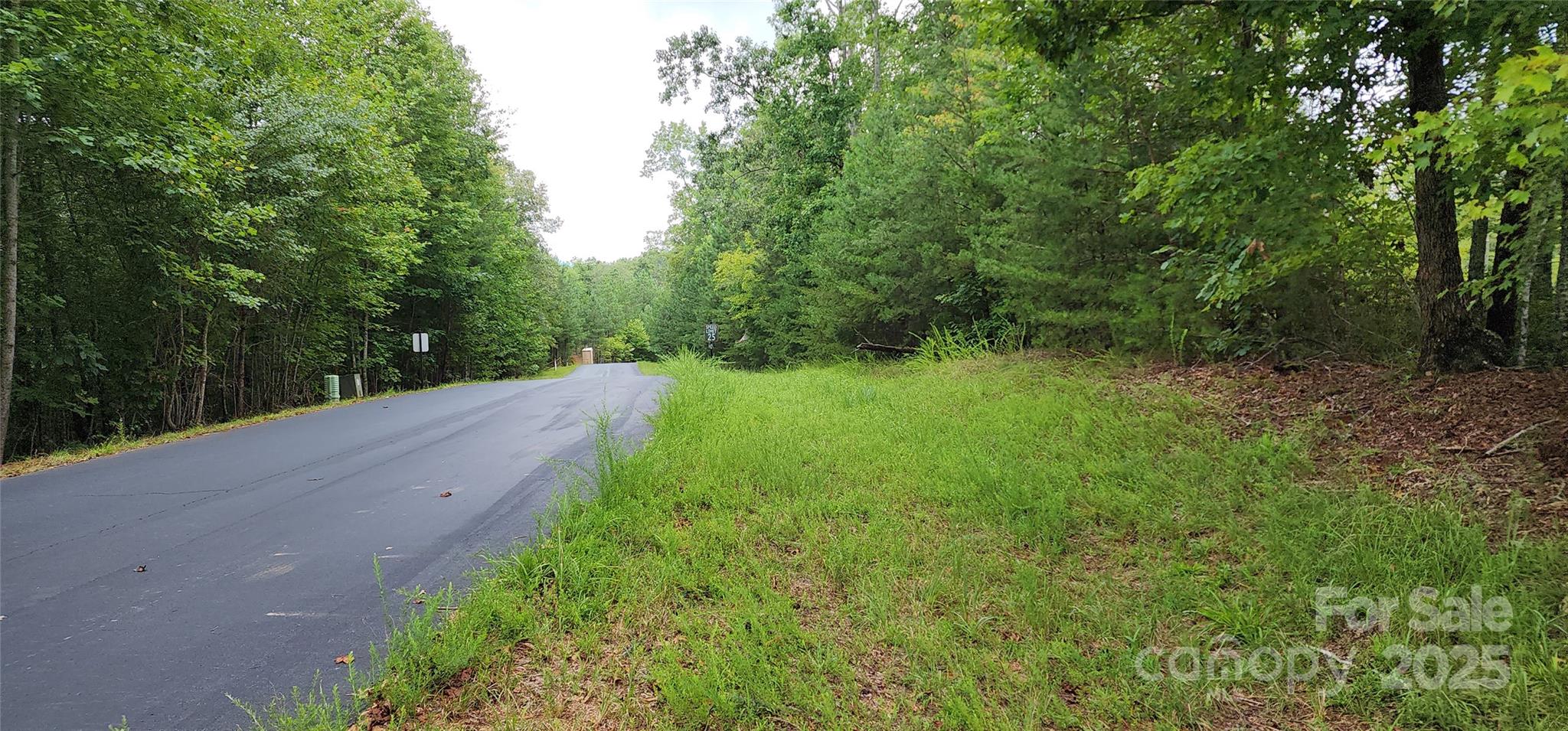 Lot at LOT 3 S Cross Creek Trail, Mill Spring, photo 21 of 25