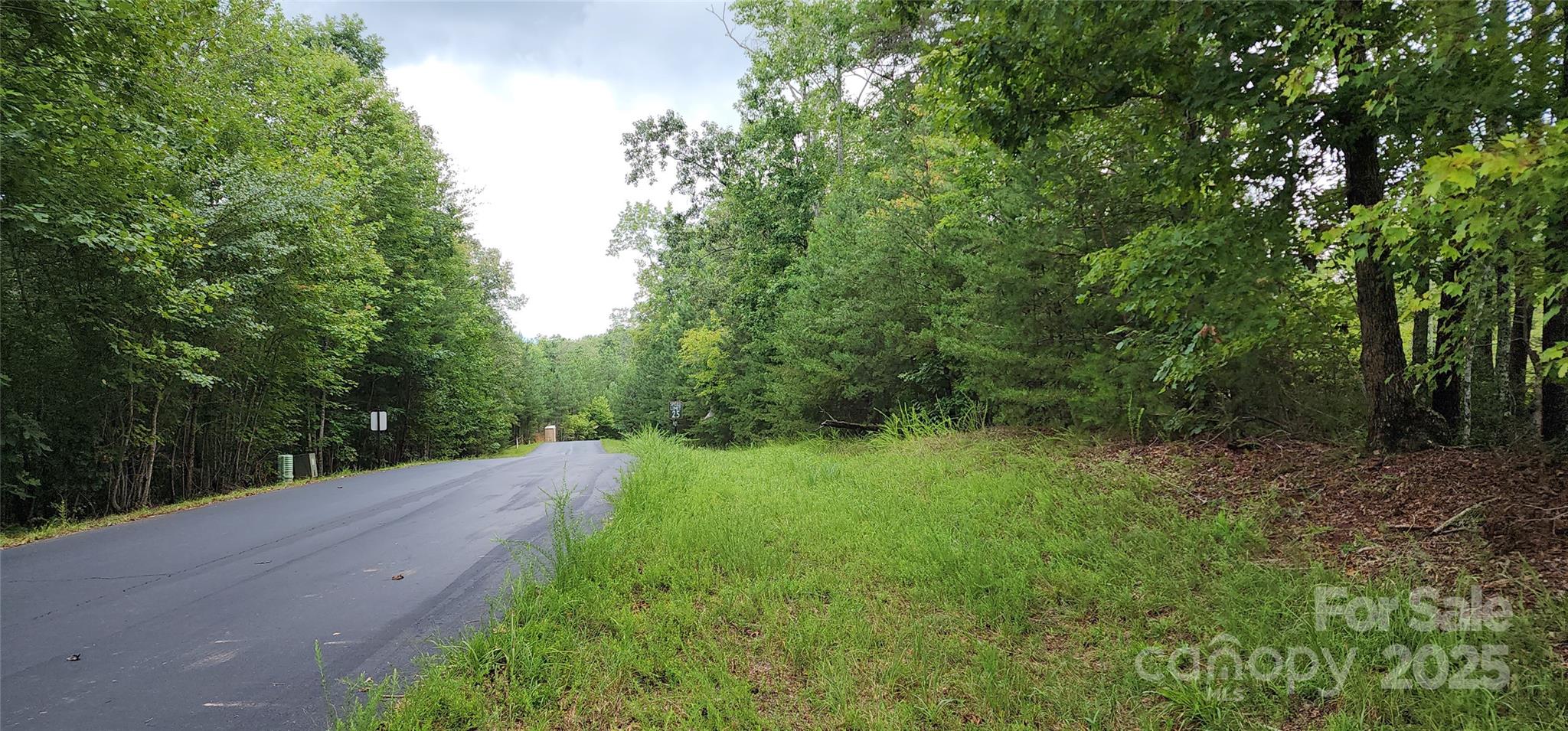Lot at LOT 3 S Cross Creek Trail, Mill Spring, photo 22 of 25