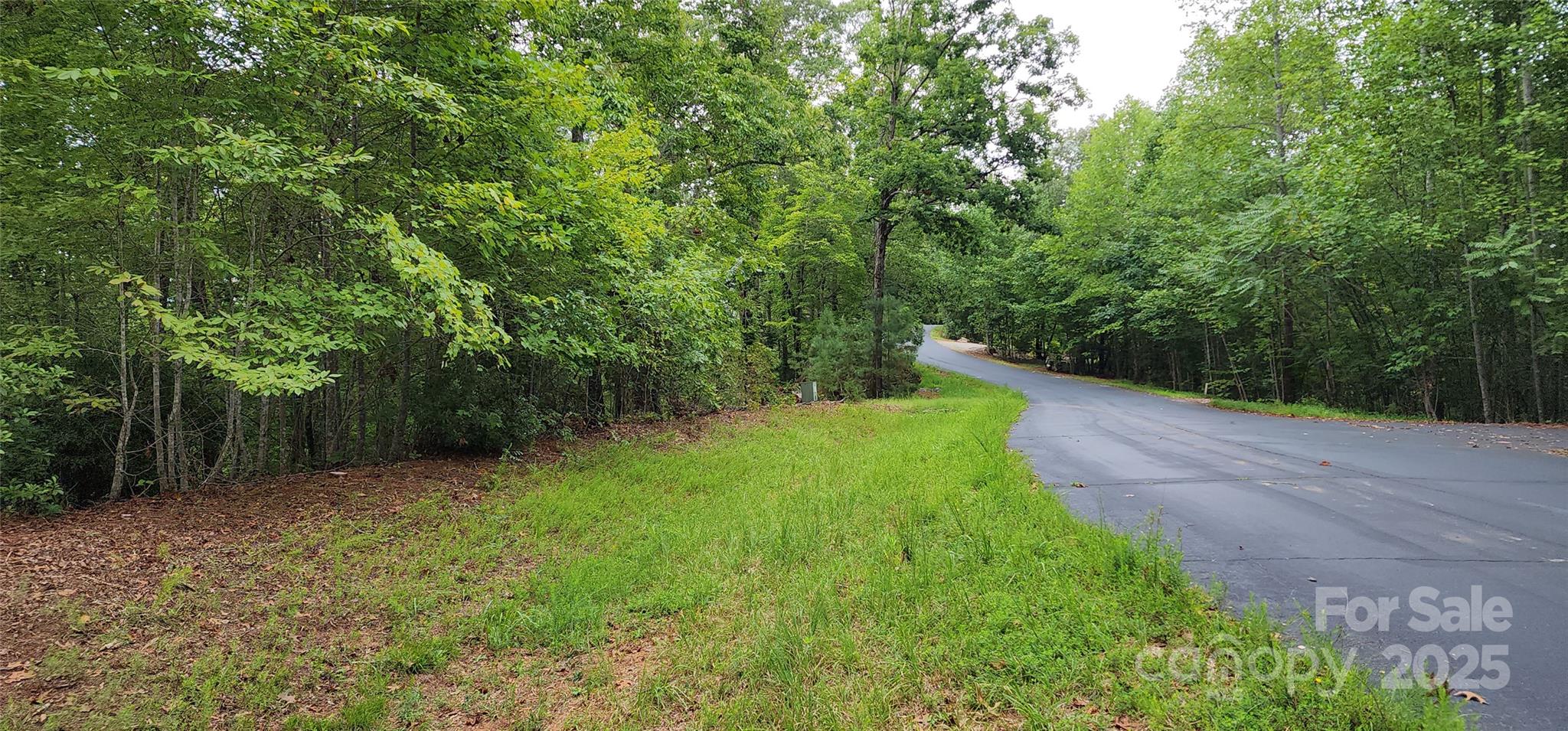 Lot at LOT 3 S Cross Creek Trail, Mill Spring, photo 23 of 25