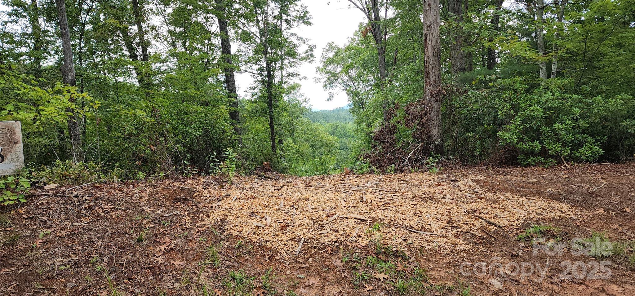 Lot at LOT 3 S Cross Creek Trail, Mill Spring, photo 24 of 25