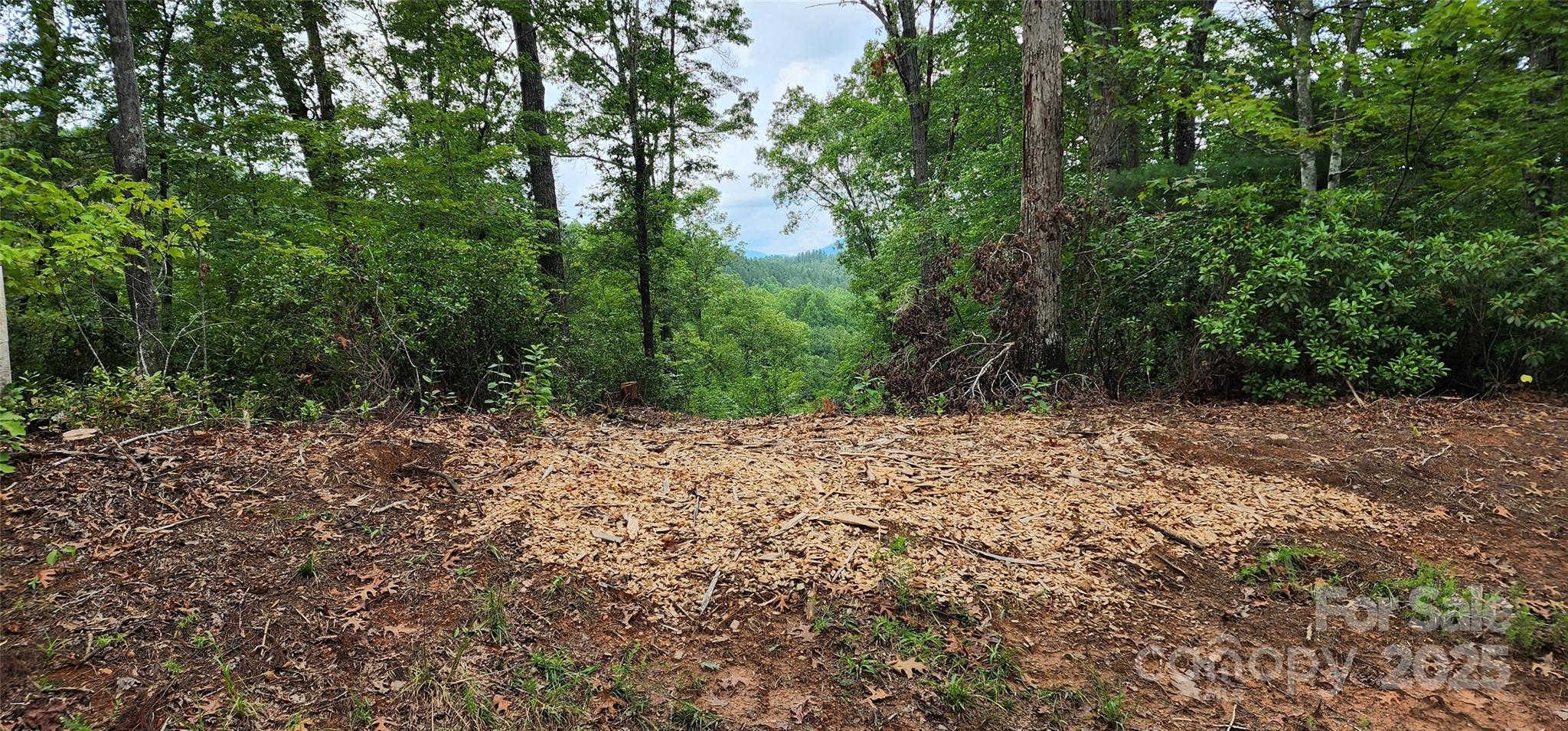 Lot at LOT 3 S Cross Creek Trail, Mill Spring, photo 25 of 25