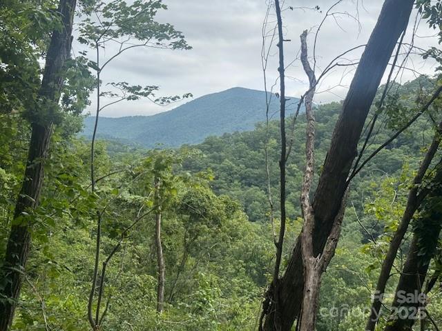 View from the property - 000 N Satellite Mountain Road N, Burnsville